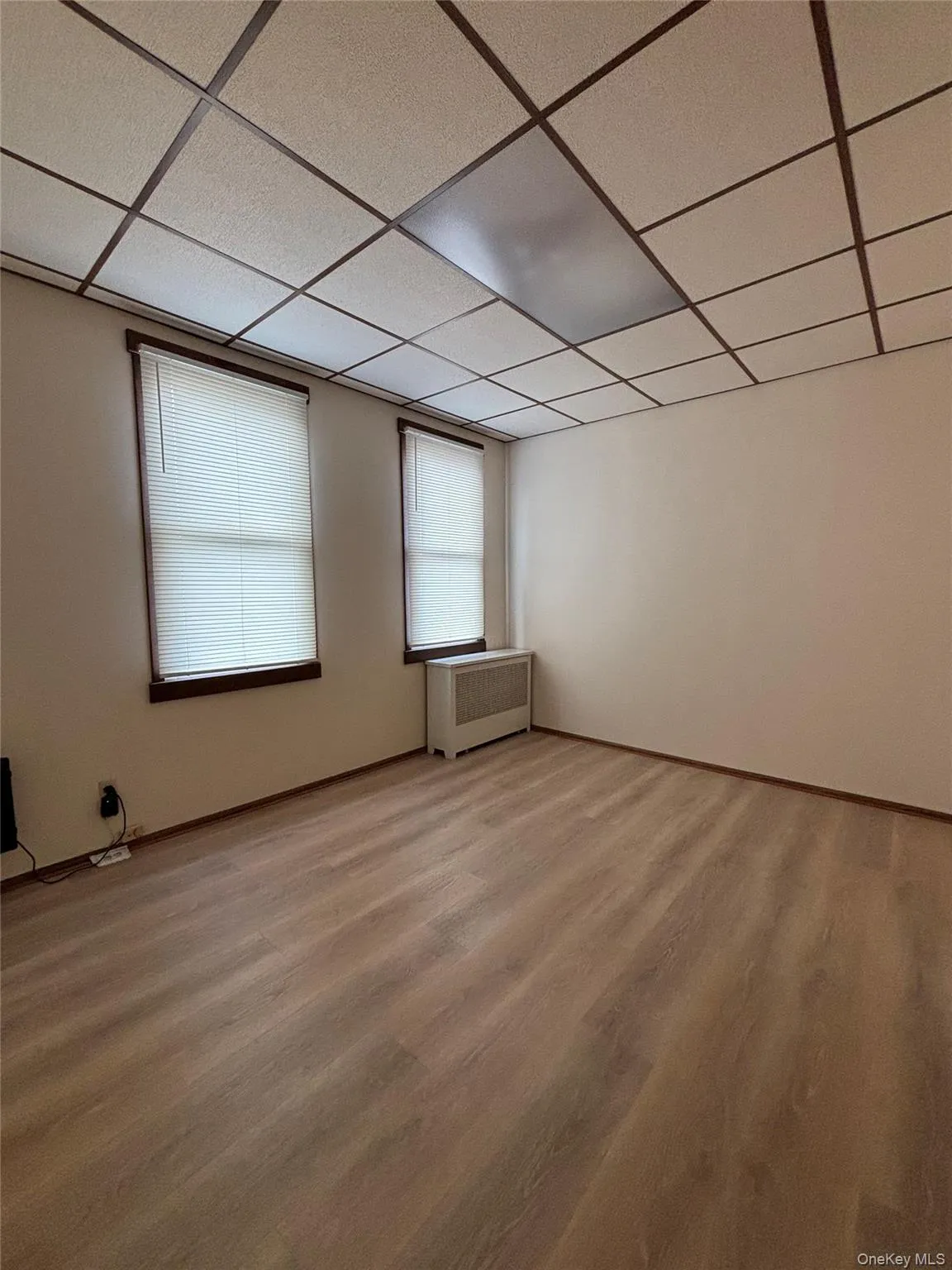 Spare room featuring a drop ceiling, radiator heating unit, and light wood-type flooring Spare room featuring a drop ceiling, radiator heating unit, and light wood-type flooring