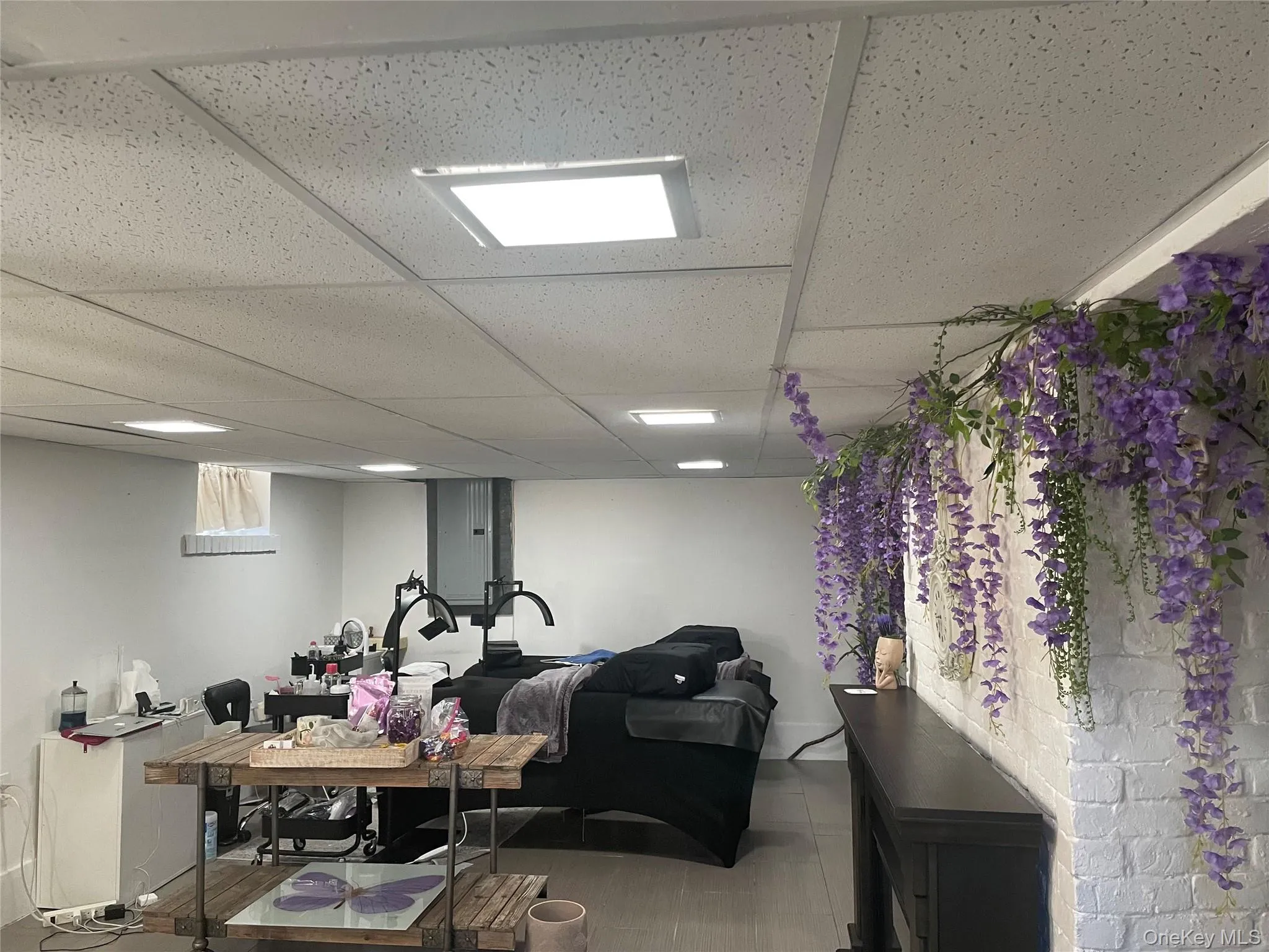 Finished below grade area featuring a paneled ceiling Finished below grade area featuring a paneled ceiling