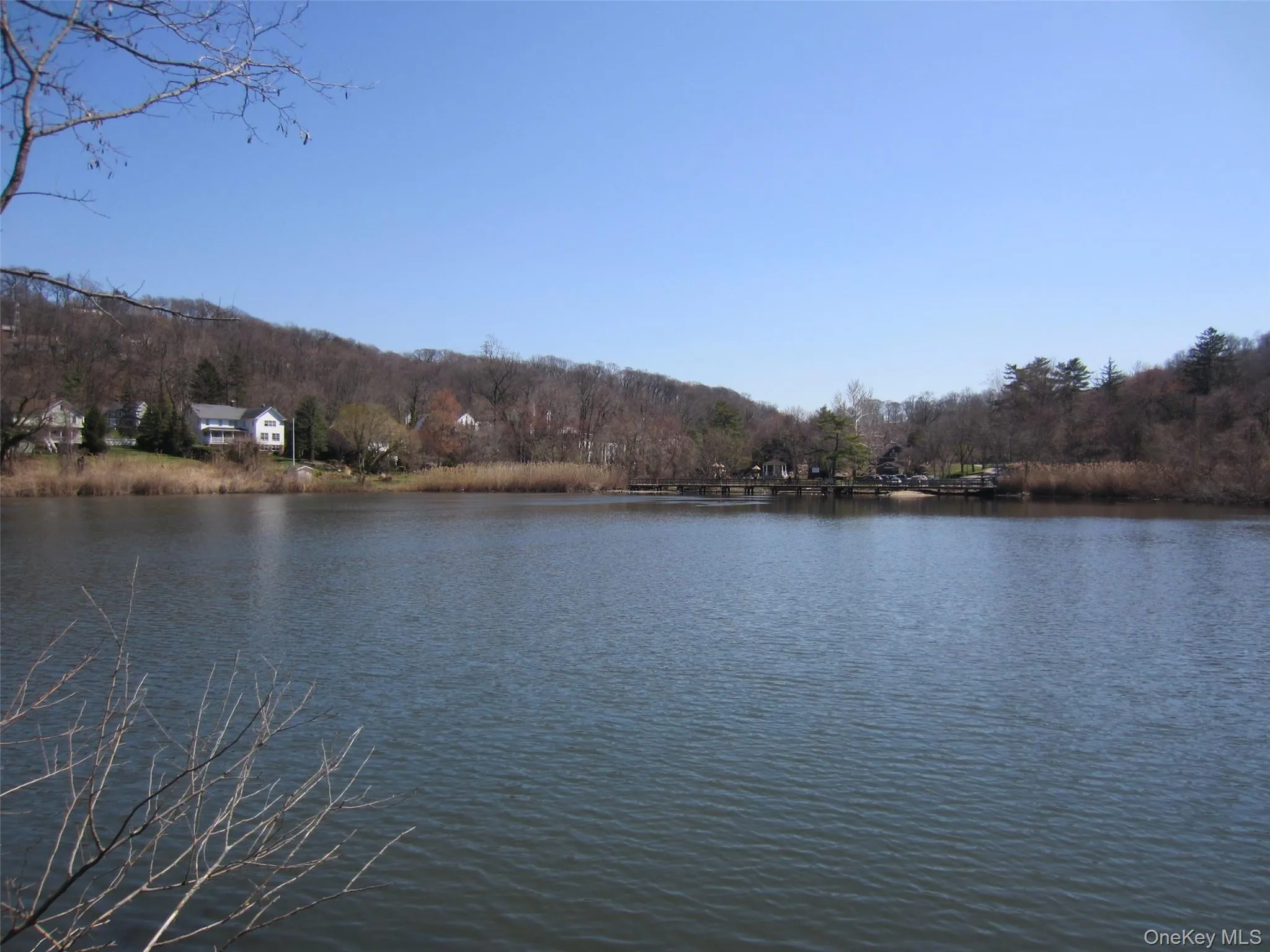 Water view with a heavily wooded area Water view with a heavily wooded area