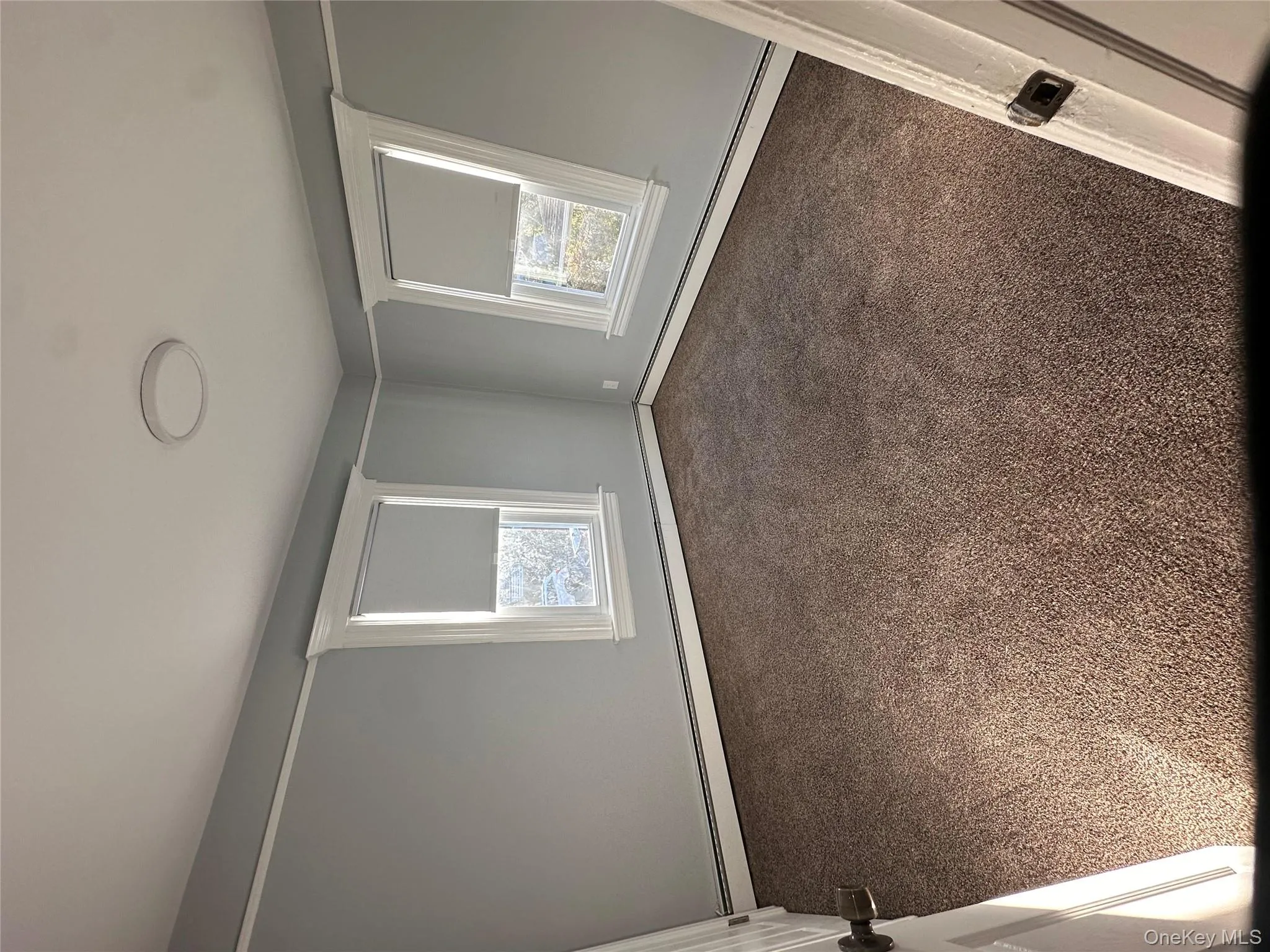 Carpeted empty room featuring plenty of natural light and baseboard heating Carpeted empty room featuring plenty of natural light and baseboard heating