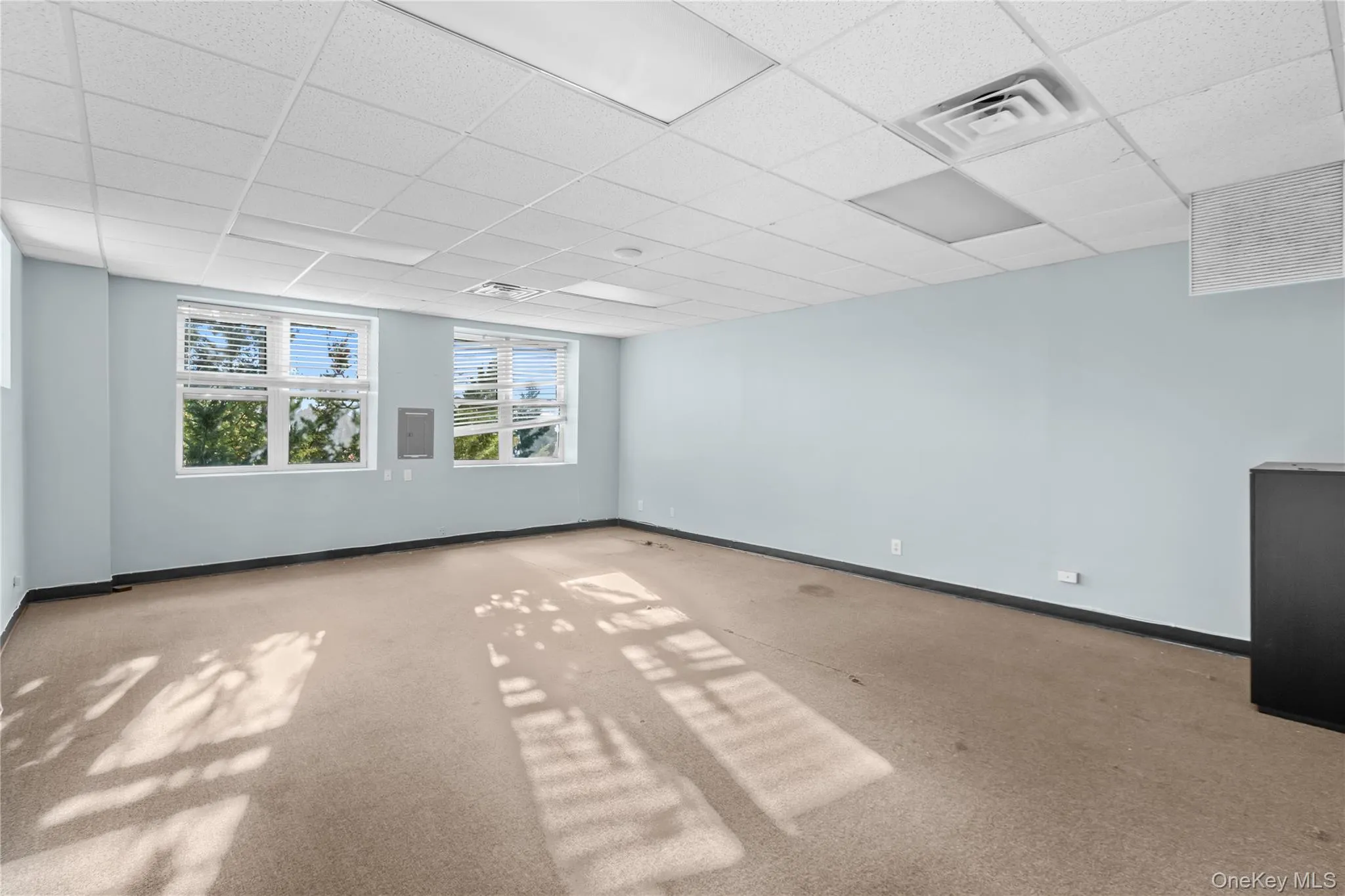 Empty room featuring a paneled ceiling and carpet Empty room featuring a paneled ceiling and carpet