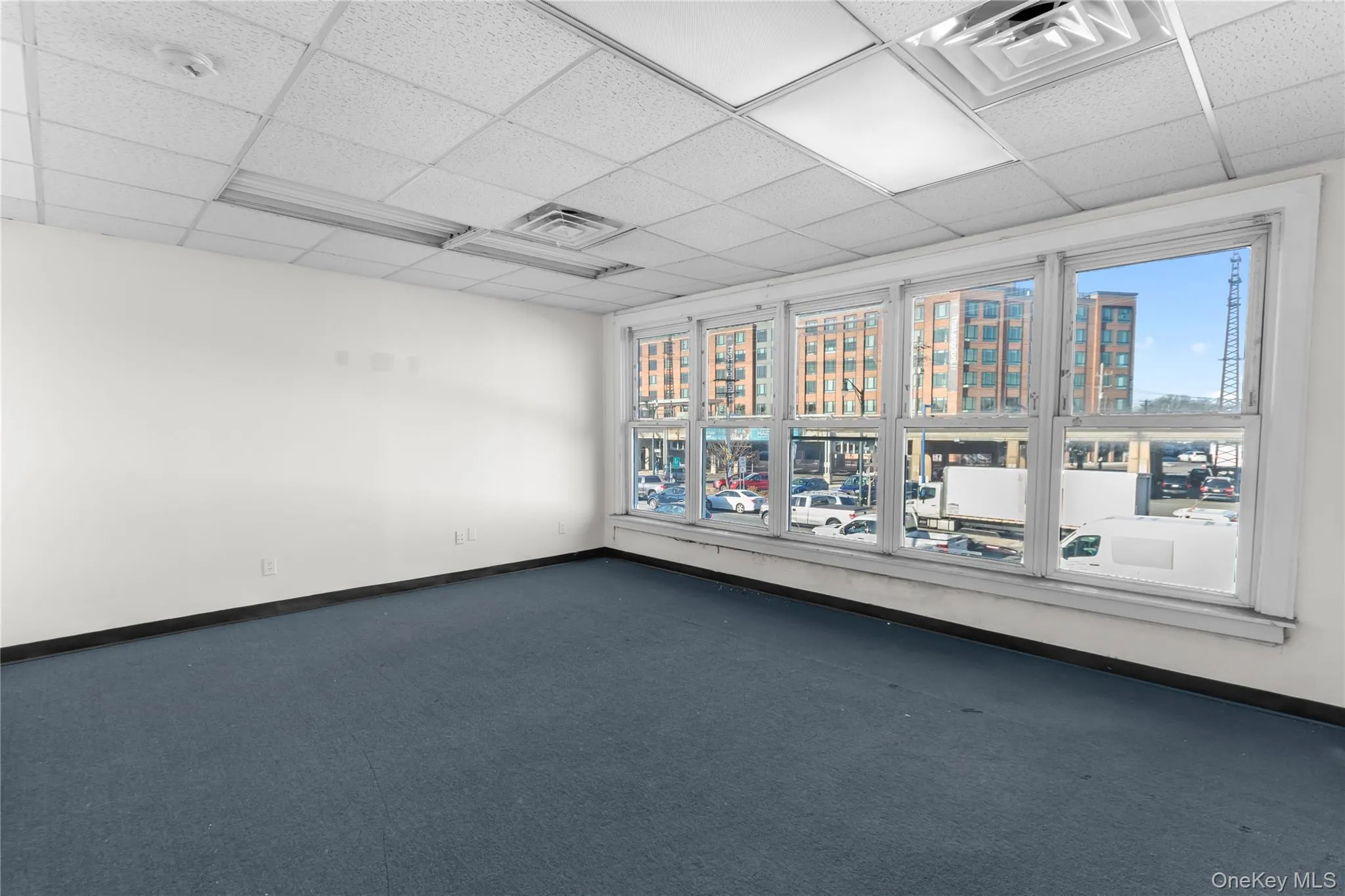 Spare room featuring a paneled ceiling and carpet flooring Spare room featuring a paneled ceiling and carpet flooring