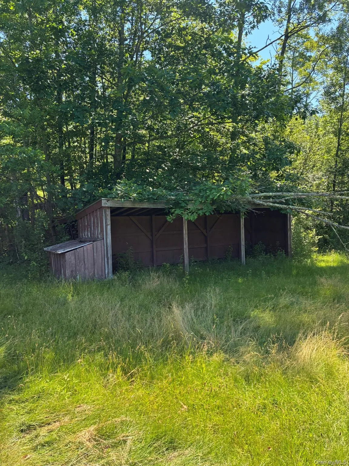 View of yard featuring an outbuilding View of yard featuring an outbuilding