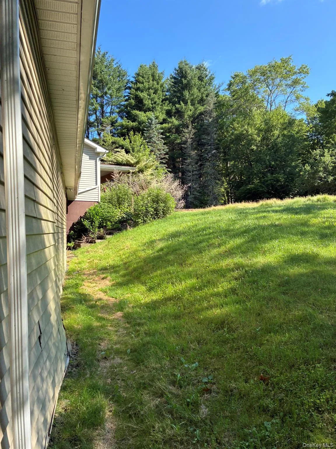 View of green lawn with a wooded view View of green lawn with a wooded view