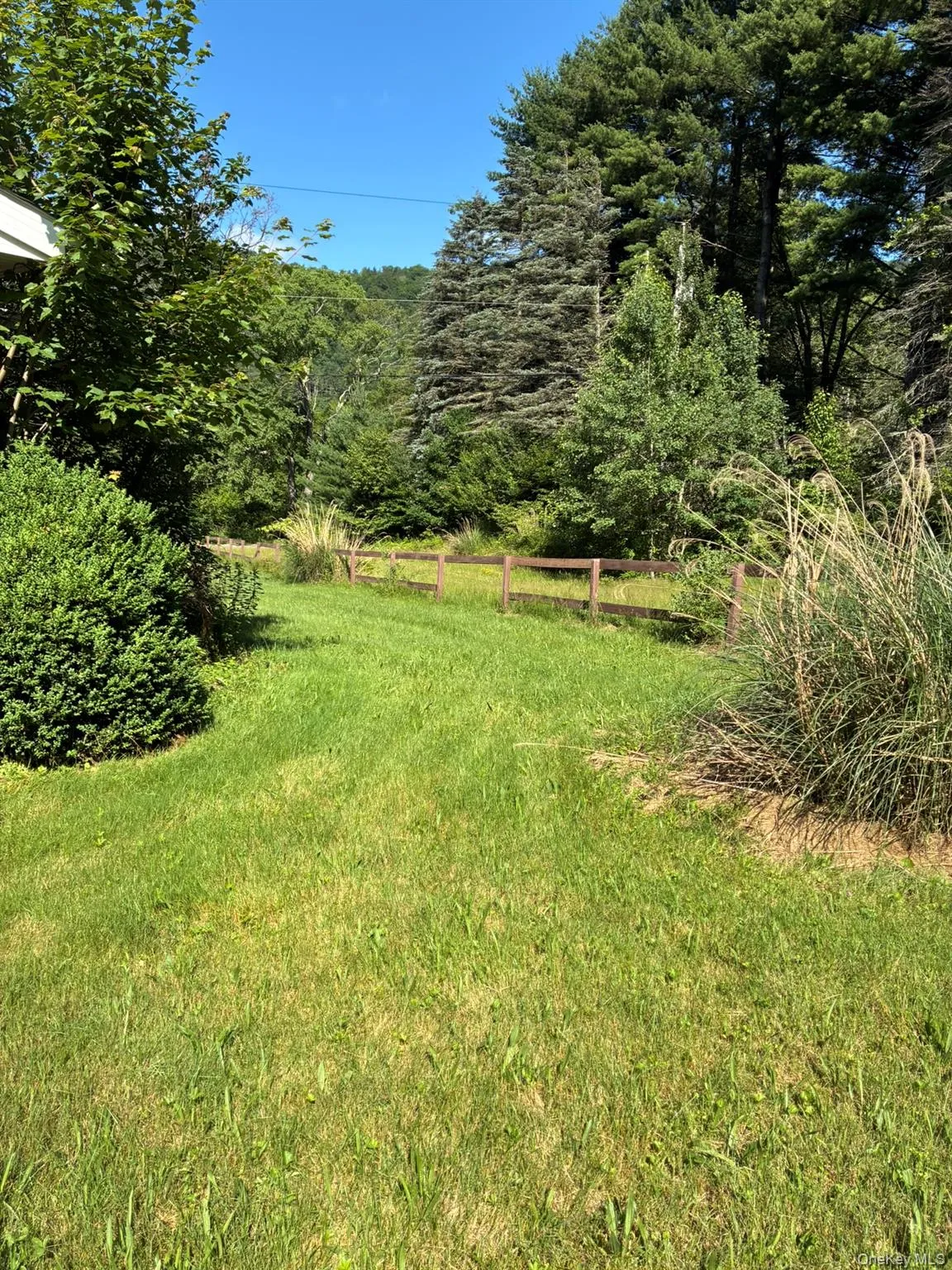 View of yard featuring a view of trees and a view of rural / pastoral area View of yard featuring a view of trees and a view of rural / pastoral area