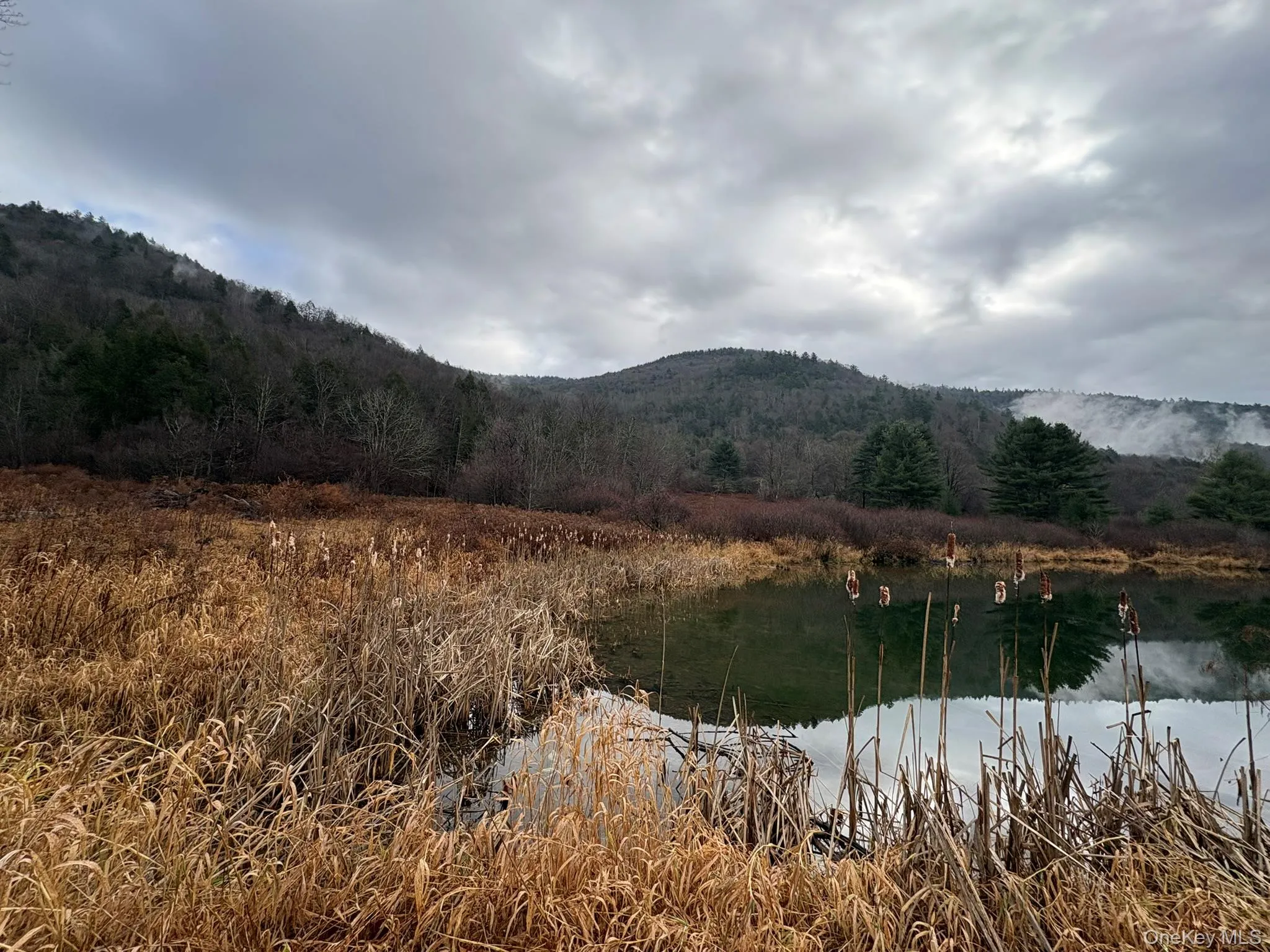 View of mountain backdrop with a forest and a nearby body of water View of mountain backdrop with a forest and a nearby body of water