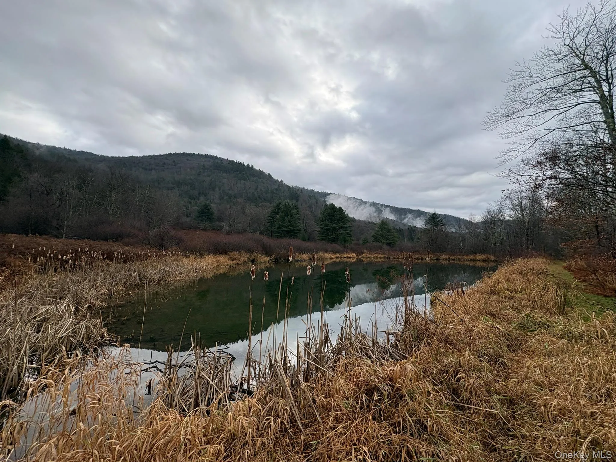 Water view featuring a mountainous background and a forest Water view featuring a mountainous background and a forest