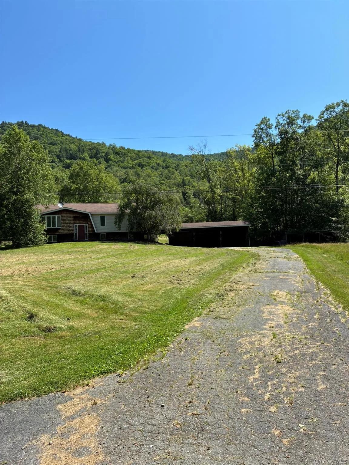 View of front of house featuring driveway, a view of trees, and a front yard View of front of house featuring driveway, a view of trees, and a front yard