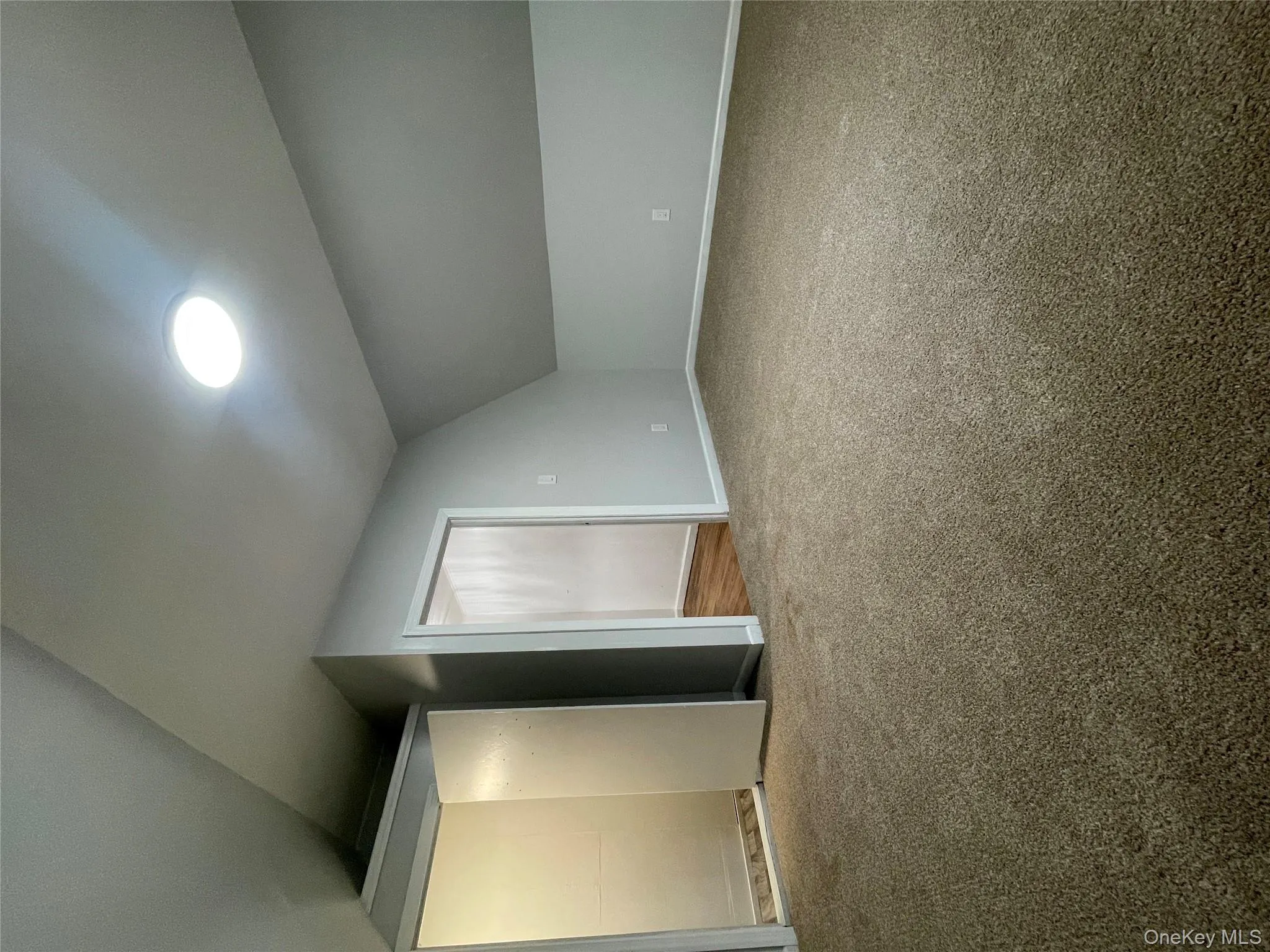 Additional living space with lofted ceiling and carpet Additional living space with lofted ceiling and carpet