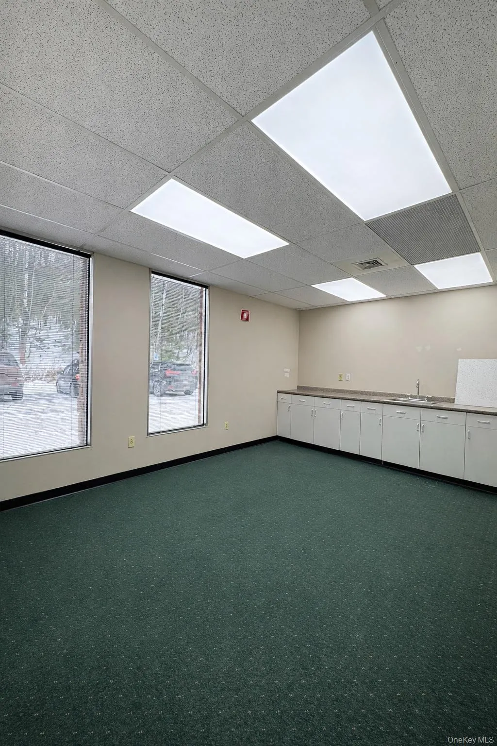 Carpeted spare room featuring a paneled ceiling and a sink Carpeted spare room featuring a paneled ceiling and a sink