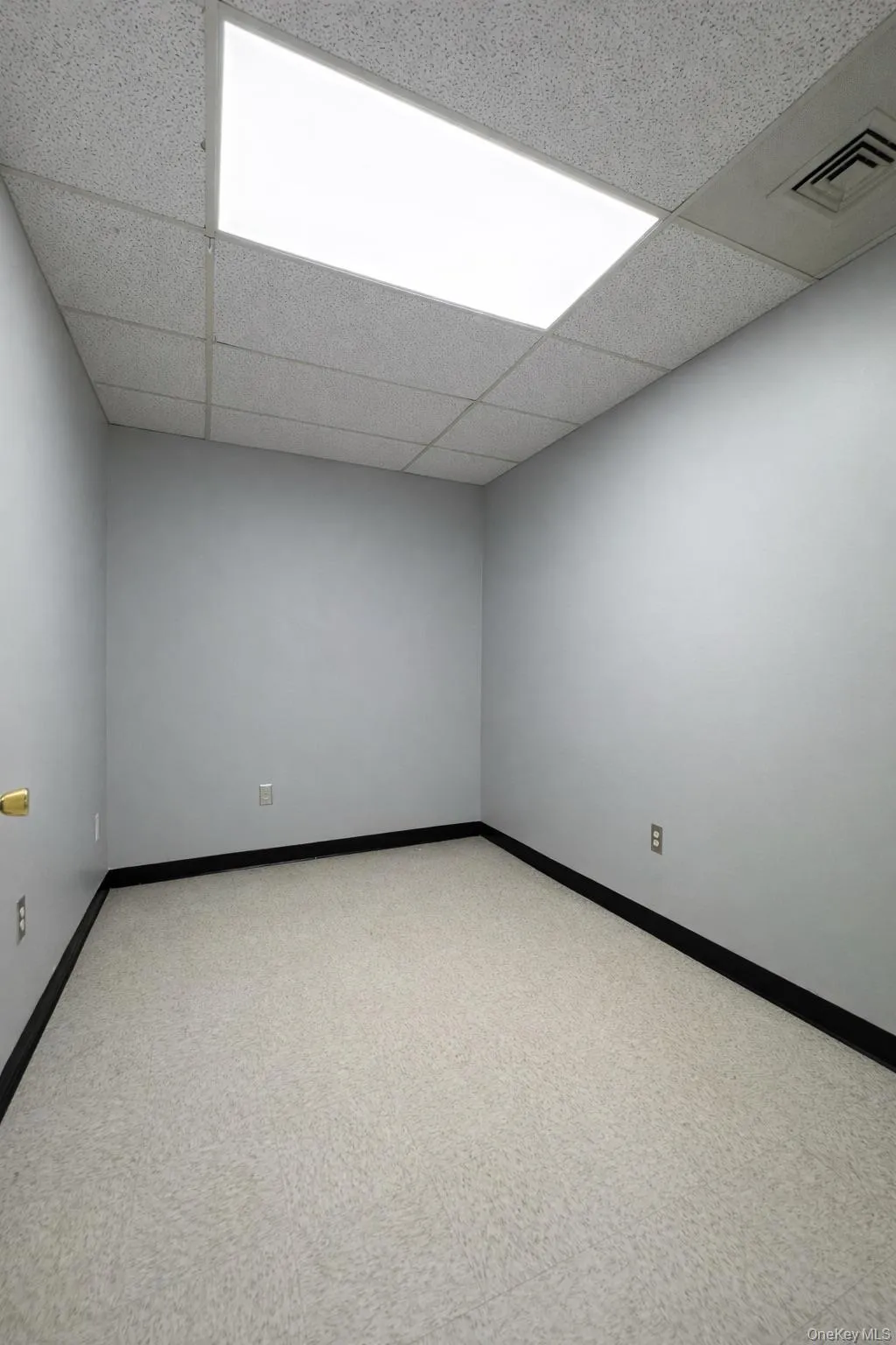 Empty room with a drop ceiling and baseboards Empty room with a drop ceiling and baseboards