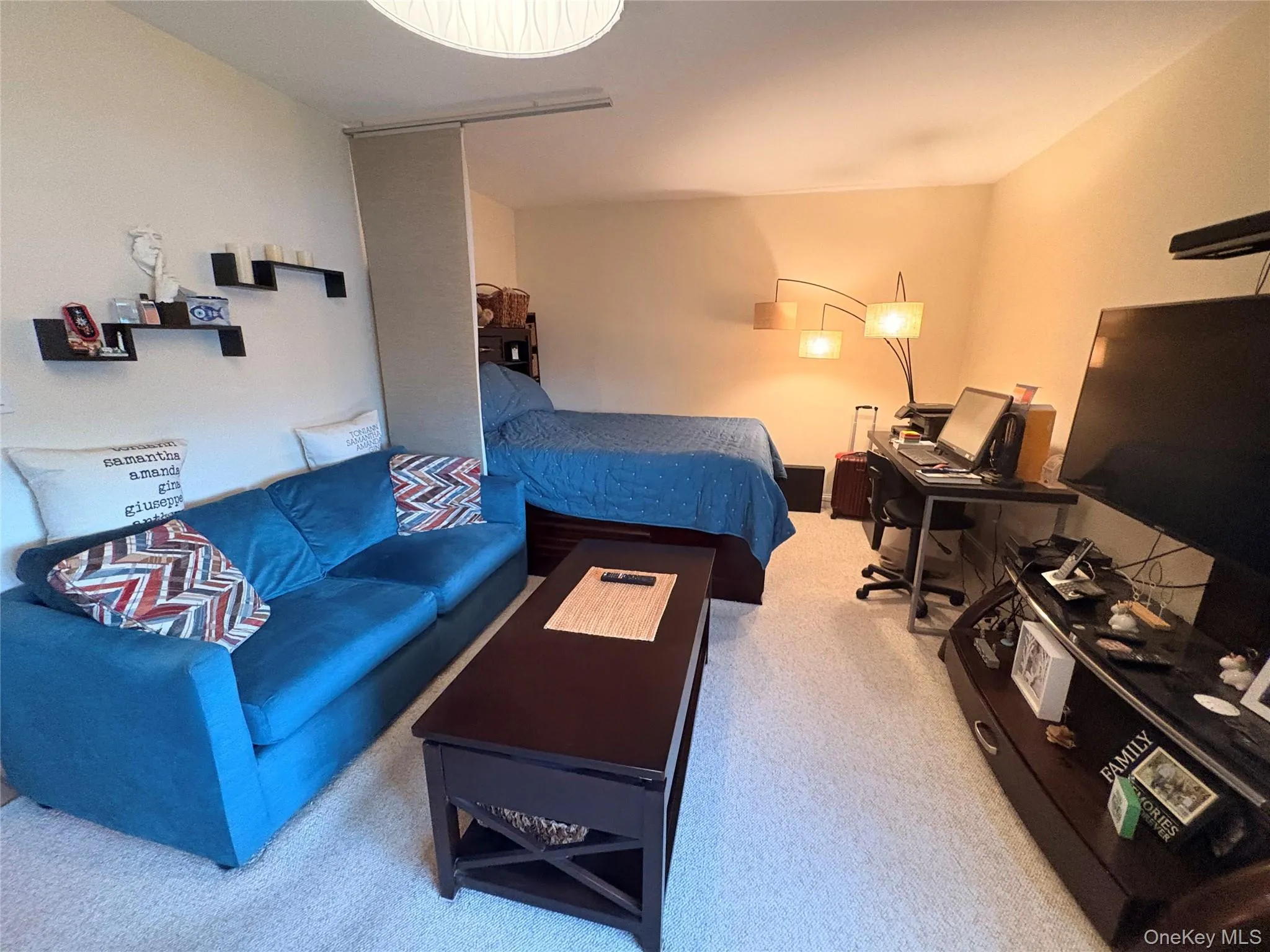 Living Room and Bedroom area! Living Room and Bedroom area!