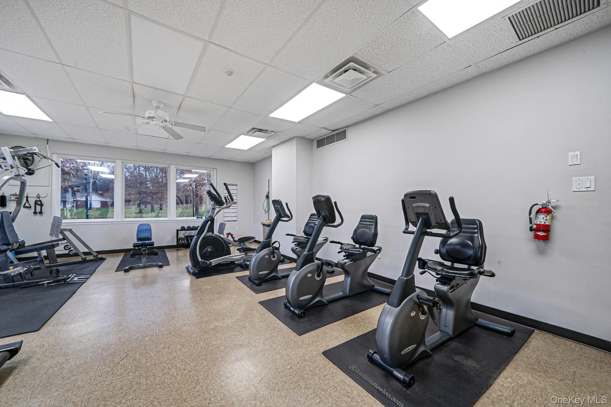 Workout area with a paneled ceiling and a ceiling fan Workout area with a paneled ceiling and a ceiling fan