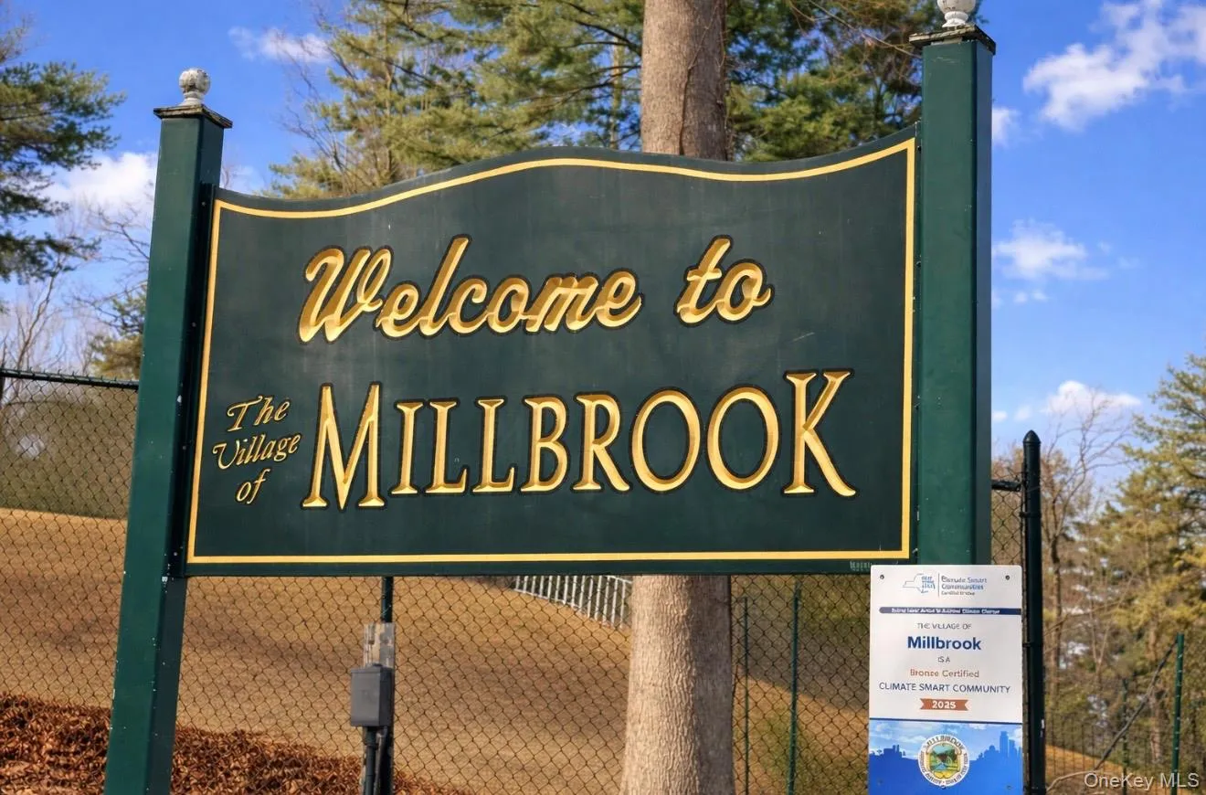 Village of Millbrook Village of Millbrook