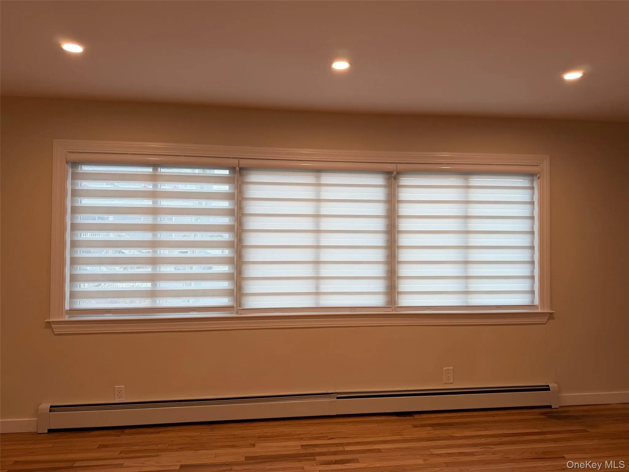 Spare room featuring a baseboard heating unit, recessed lighting, light wood-style flooring, and plenty of natural light Spare room featuring a baseboard heating unit, recessed lighting, light wood-style flooring, and plenty of natural light