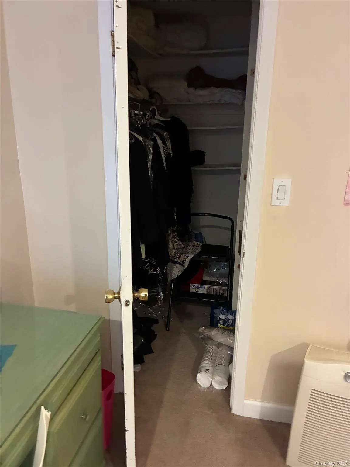 View of walk in closet View of walk in closet