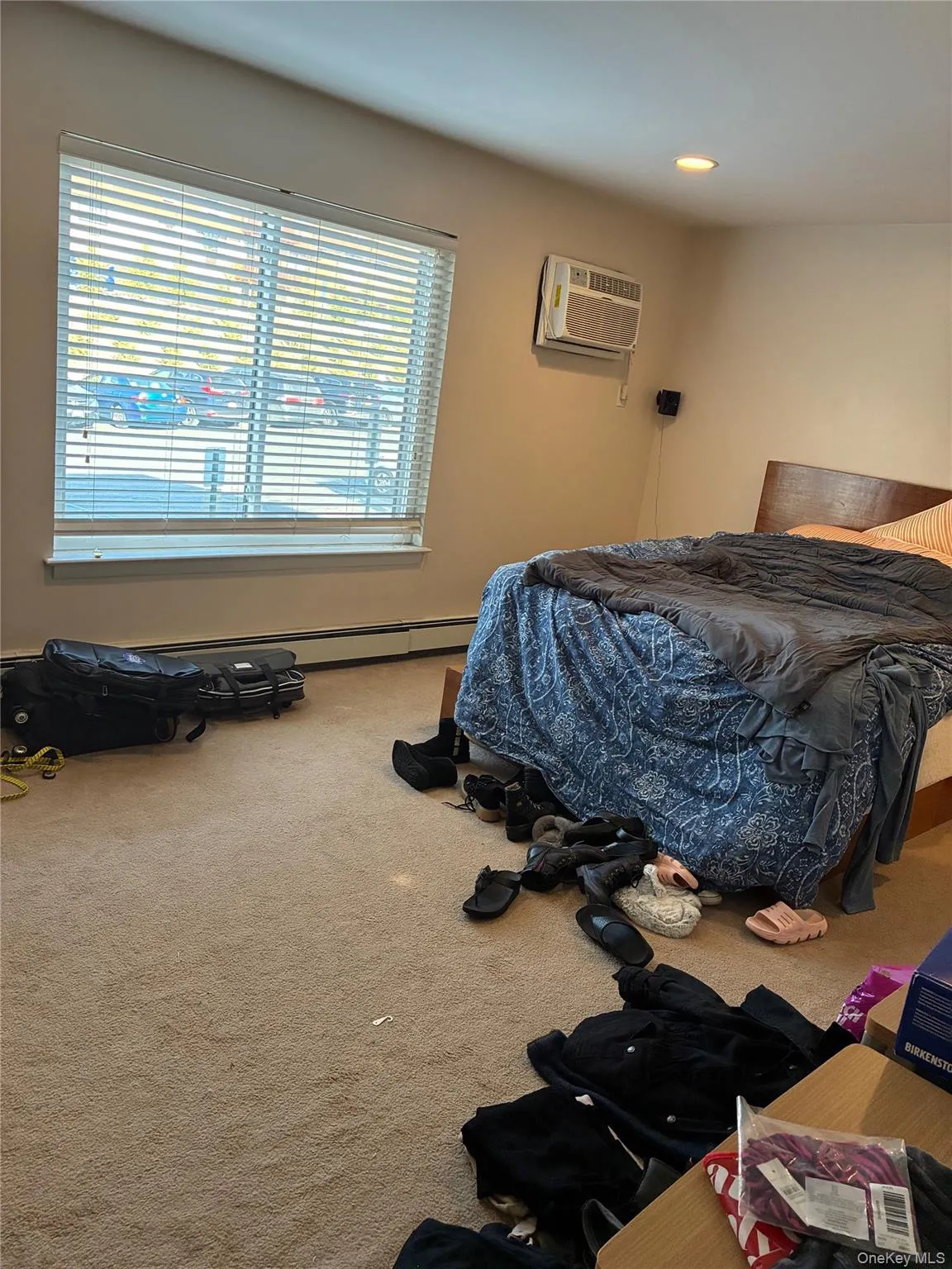 Bedroom featuring carpet floors, a new wall unit AC, and a baseboard radiator Bedroom featuring carpet floors, a new wall unit AC, and a baseboard radiator