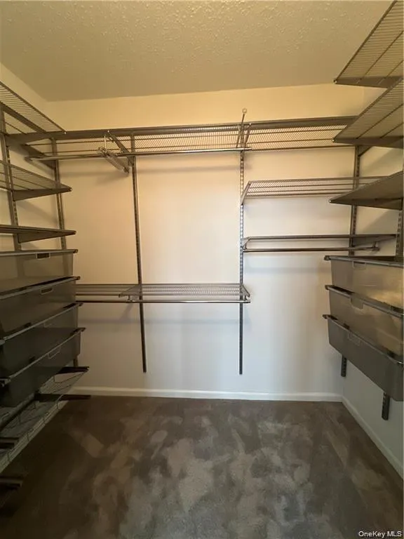 Large Walk in closet with custom shelving Large Walk in closet with custom shelving