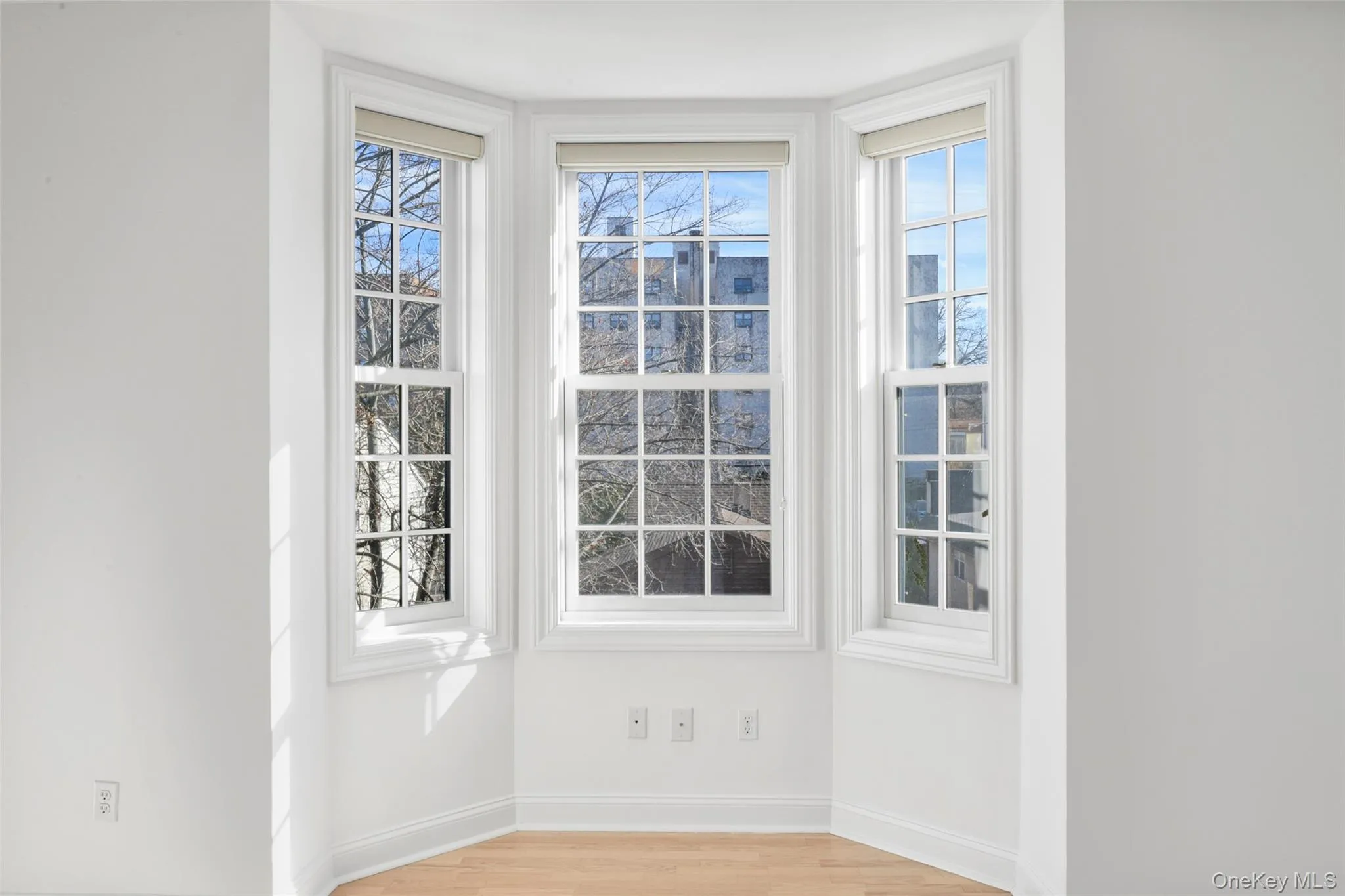 Detailed view of wood finished floors and baseboards Detailed view of wood finished floors and baseboards