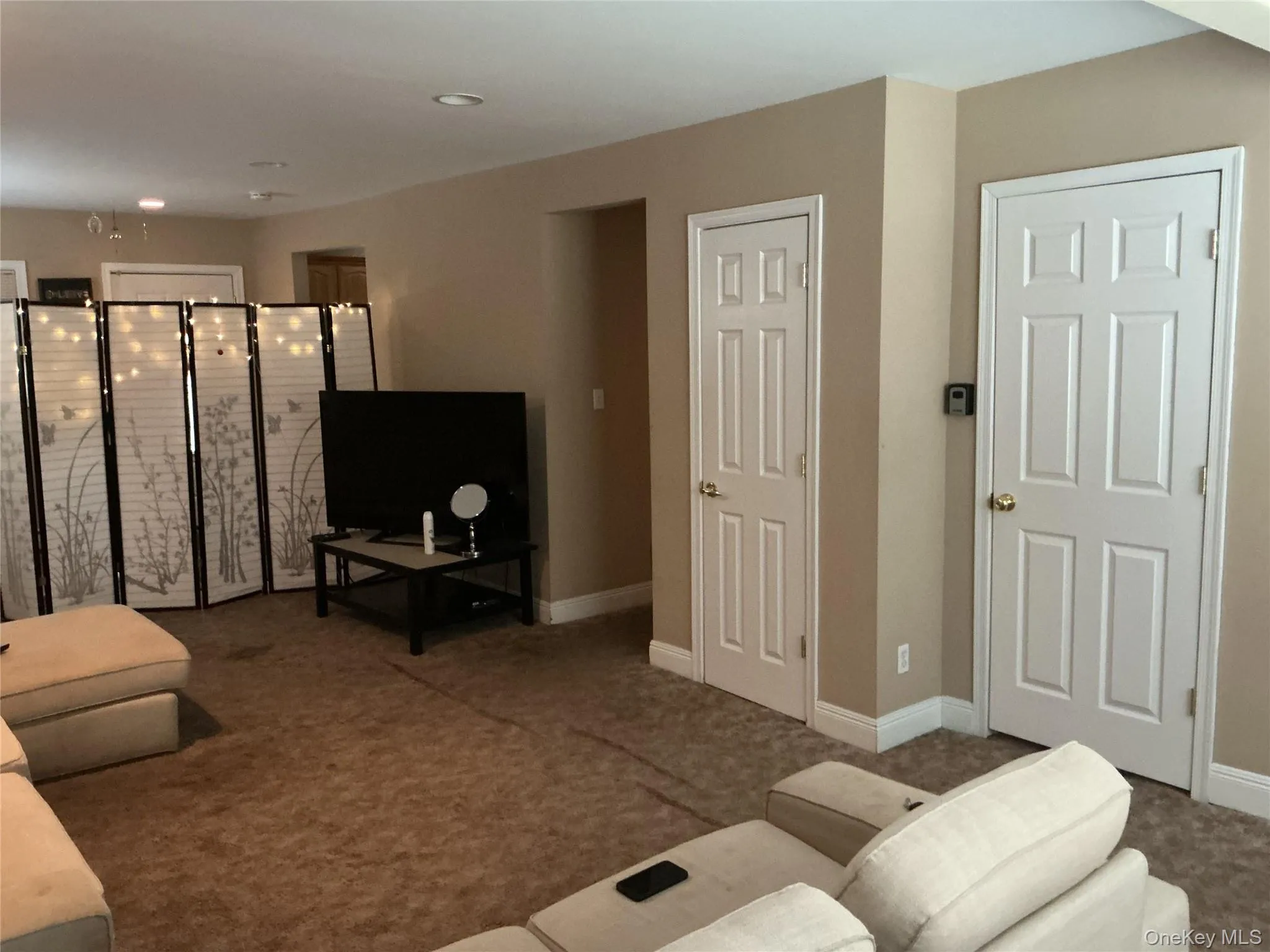 Living area with carpet flooring and recessed lighting Living area with carpet flooring and recessed lighting