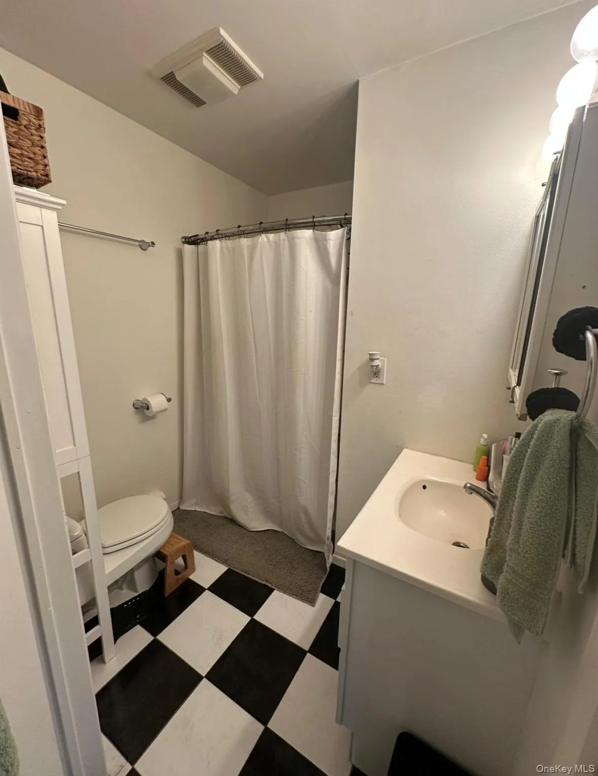 Bathroom featuring dark floors, a shower with shower curtain, and vanity Bathroom featuring dark floors, a shower with shower curtain, and vanity