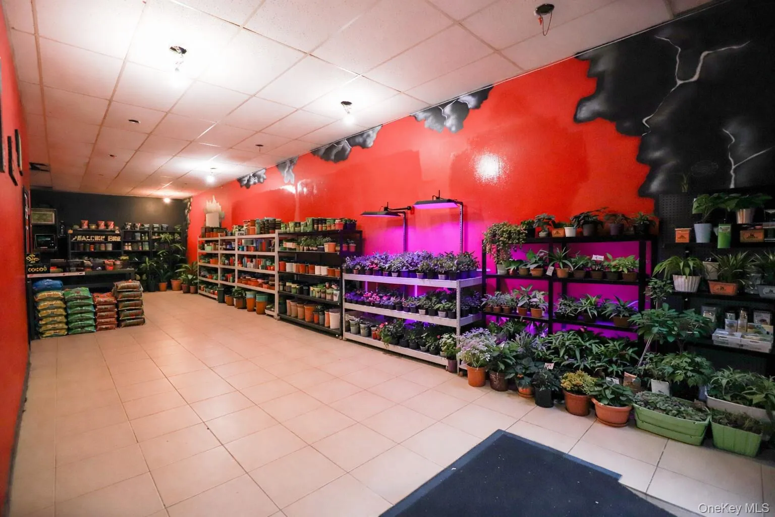 Virtually staged plant store Virtually staged plant store