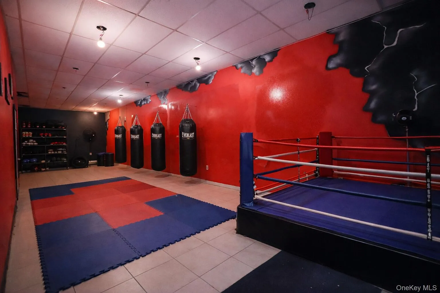 Virtually staged boxing / wrestling studio Virtually staged boxing / wrestling studio