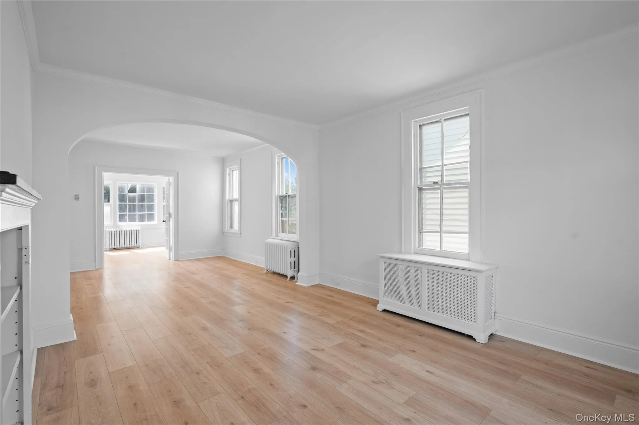 Unfurnished living room featuring radiator, light wood-style floors, ornamental molding, and plenty of natural light Unfurnished living room featuring radiator, light wood-style floors, ornamental molding, and plenty of natural light