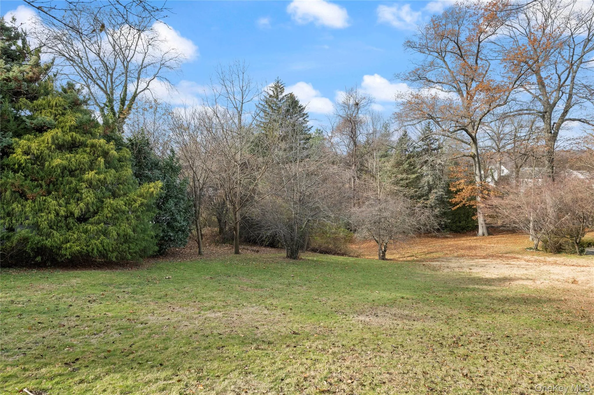 View of grassy yard with a forest view View of grassy yard with a forest view