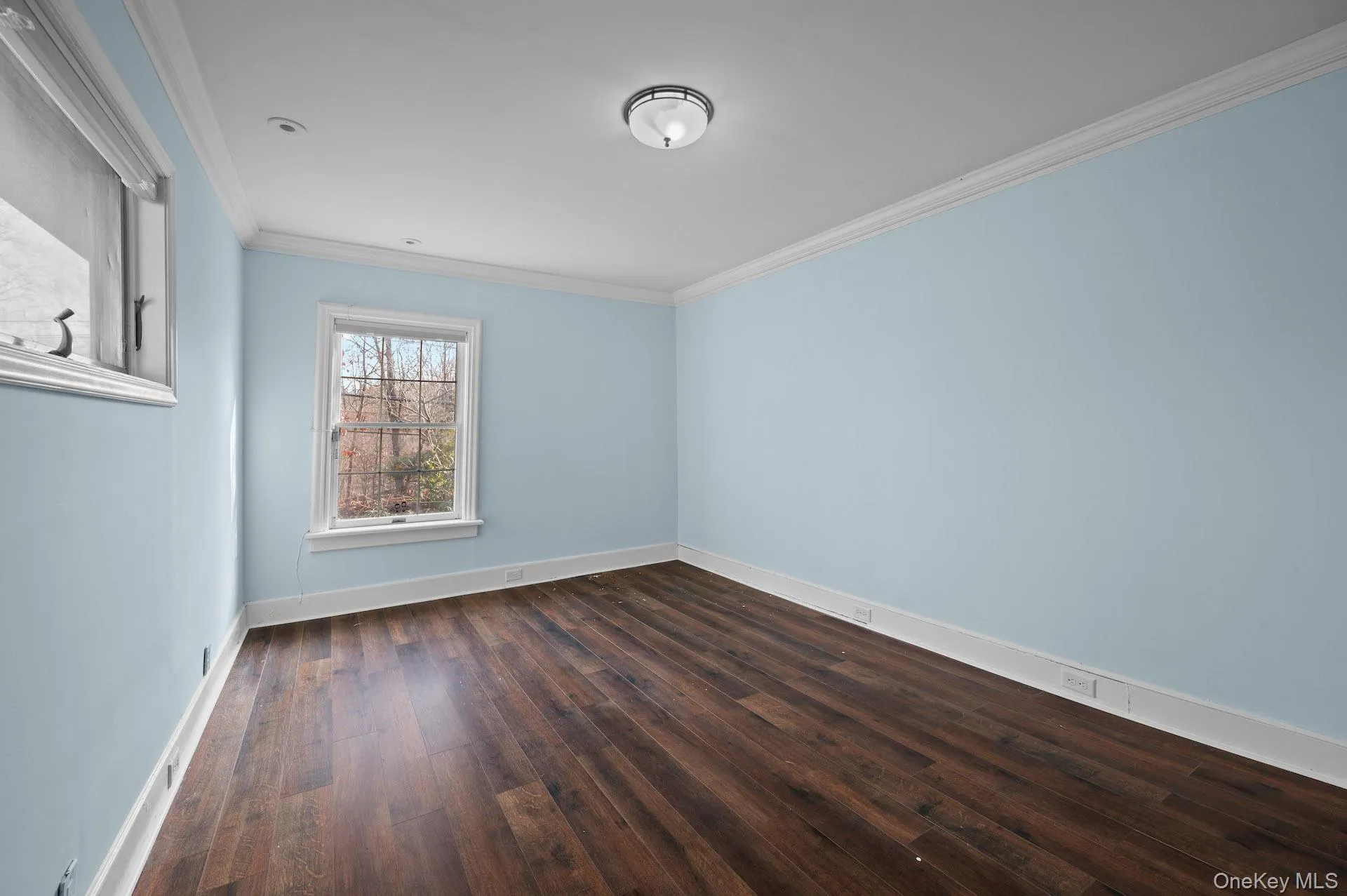 Unfurnished room with ornamental molding and dark wood-style floors Unfurnished room with ornamental molding and dark wood-style floors