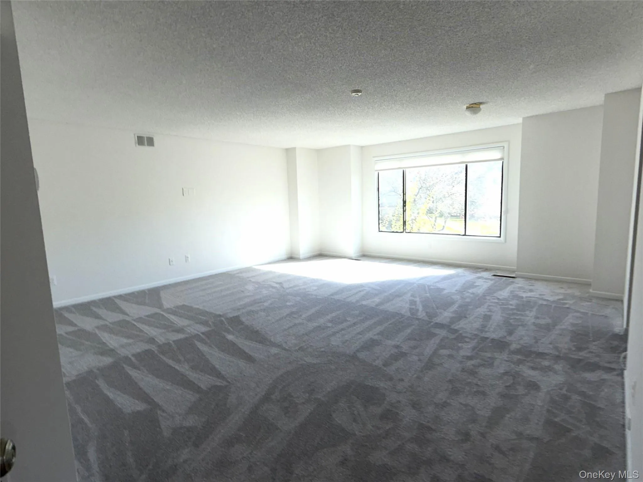 Carpeted empty room with a textured ceiling and baseboards Carpeted empty room with a textured ceiling and baseboards