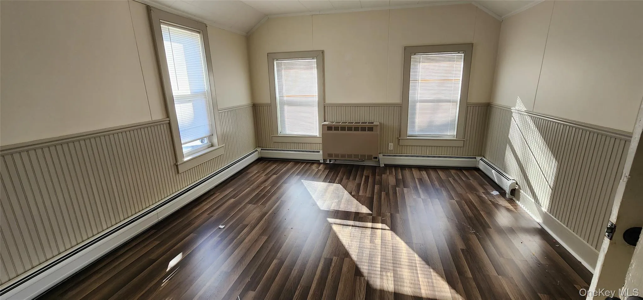 Empty room featuring a baseboard heating unit, vaulted ceiling, a wainscoted wall, dark wood finished floors, and radiator heating unit Empty room featuring a baseboard heating unit, vaulted ceiling, a wainscoted wall, dark wood finished floors, and radiator heating unit
