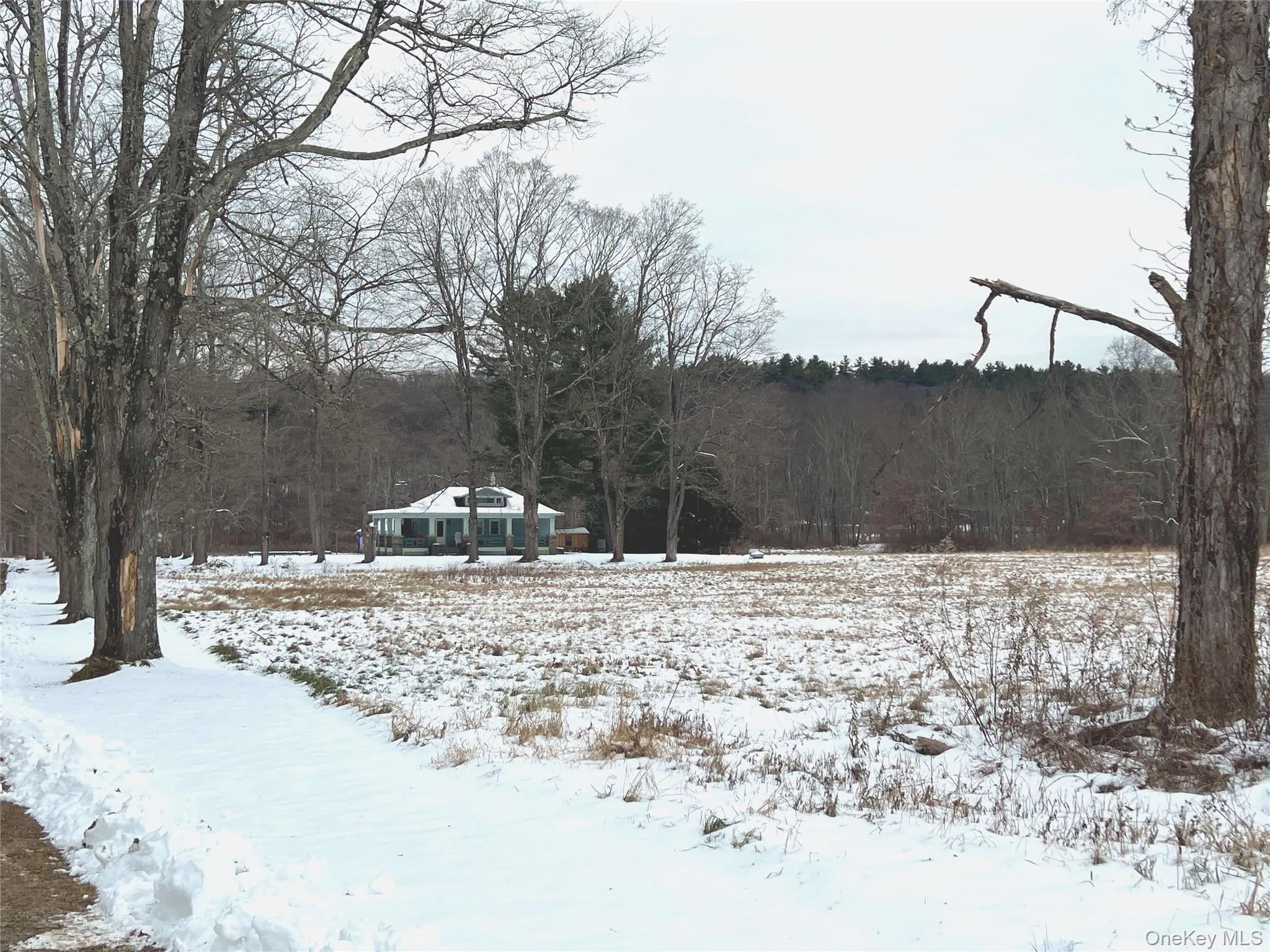 Yard layered in snow with a view of trees Yard layered in snow with a view of trees