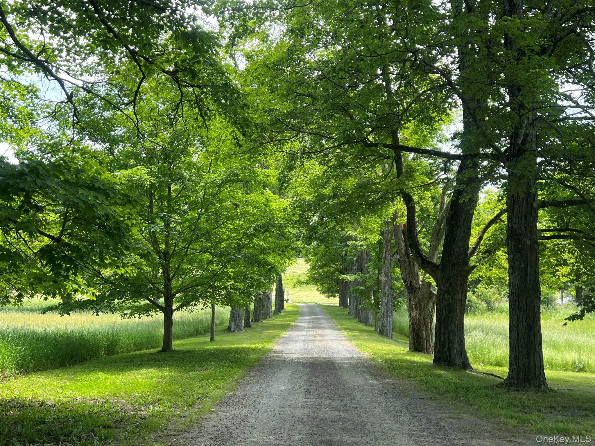 View of dirt / gravel road View of dirt / gravel road