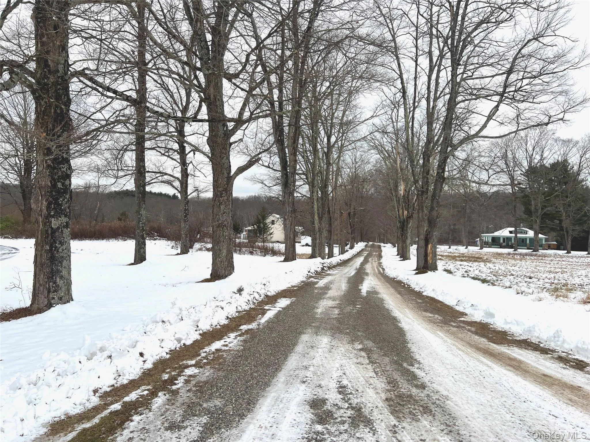 View of road featuring a wooded view View of road featuring a wooded view
