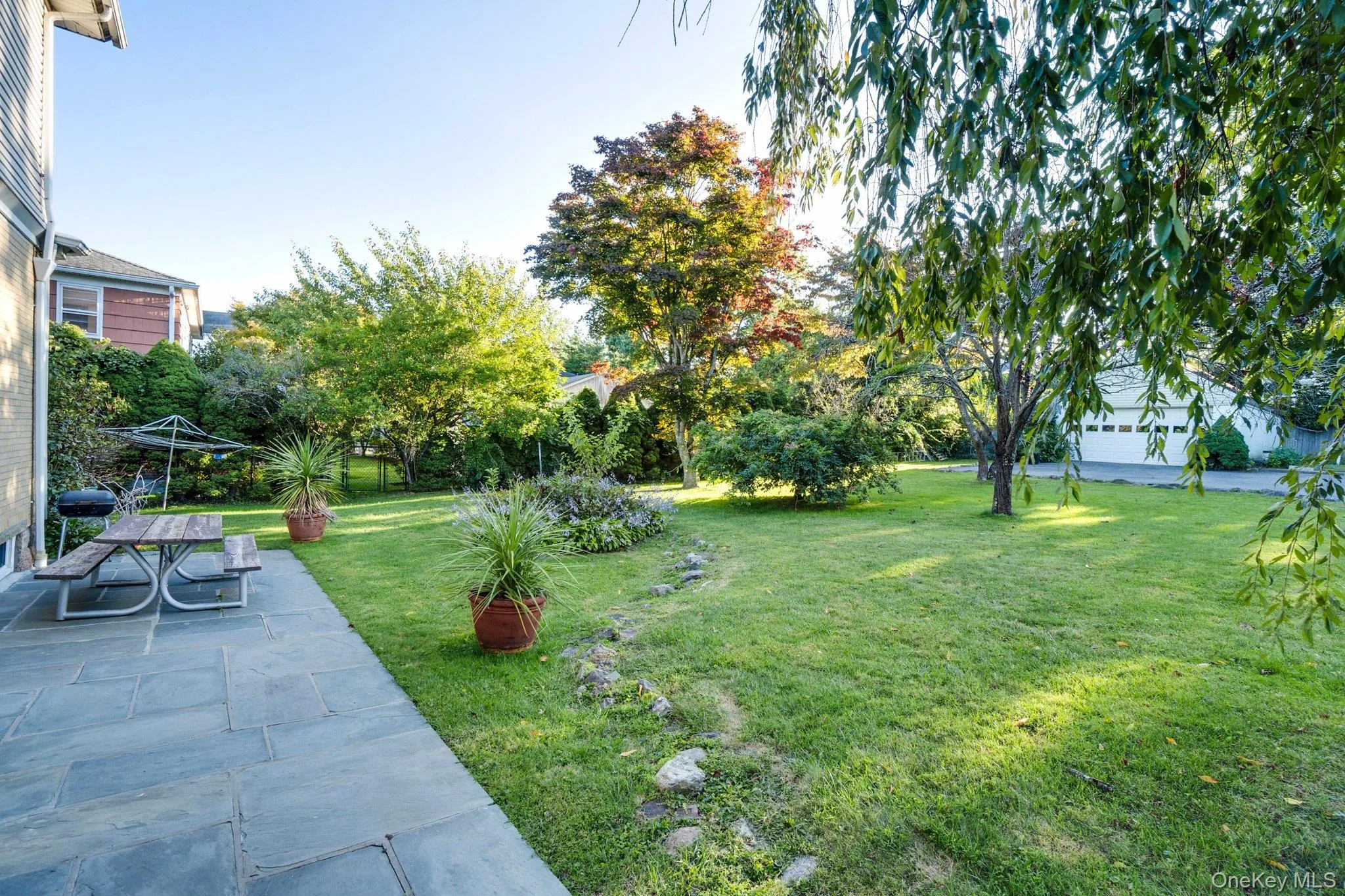 Spacious and private backyard Spacious and private backyard