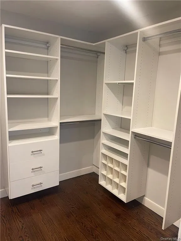 Walk in closet featuring dark wood-style flooring Walk in closet featuring dark wood-style flooring