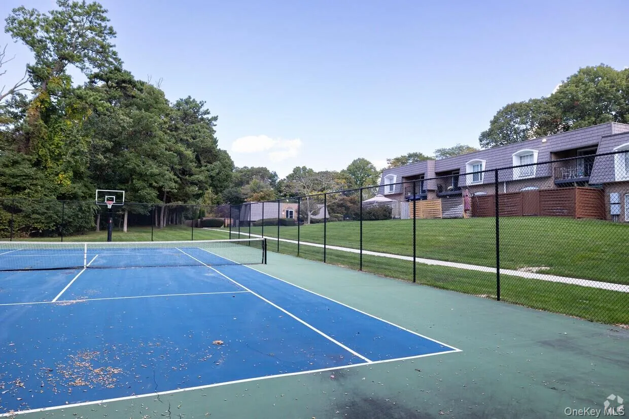 Basketball Court Basketball Court