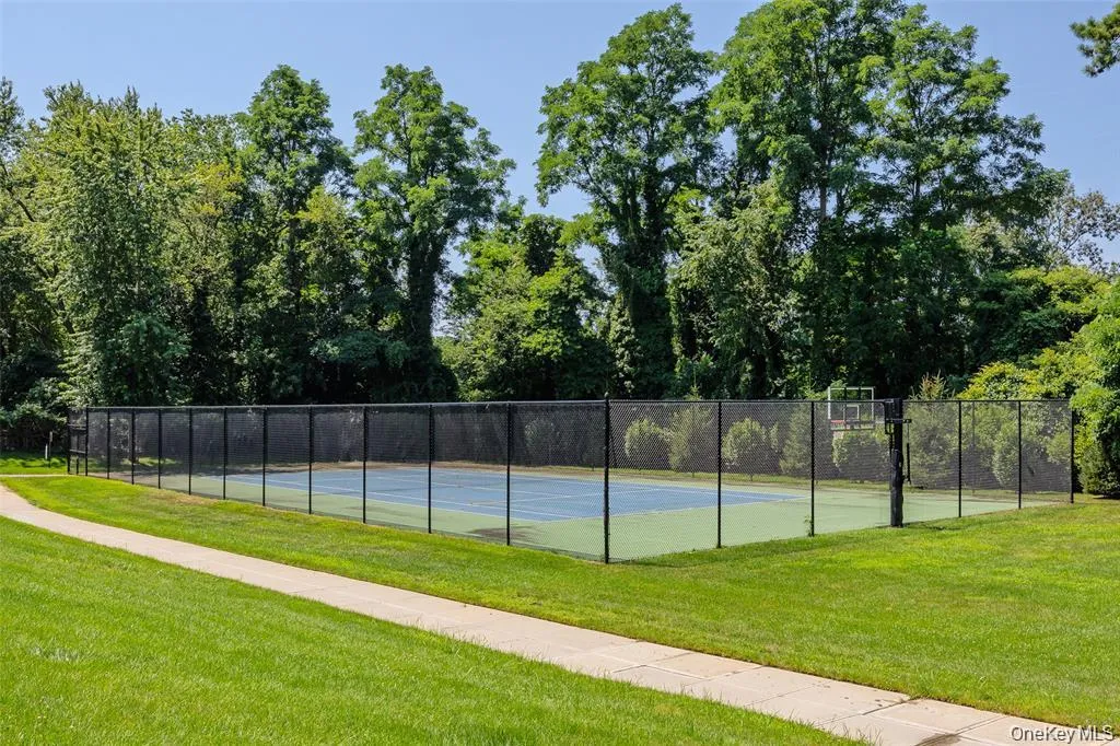 Basketball Court Basketball Court