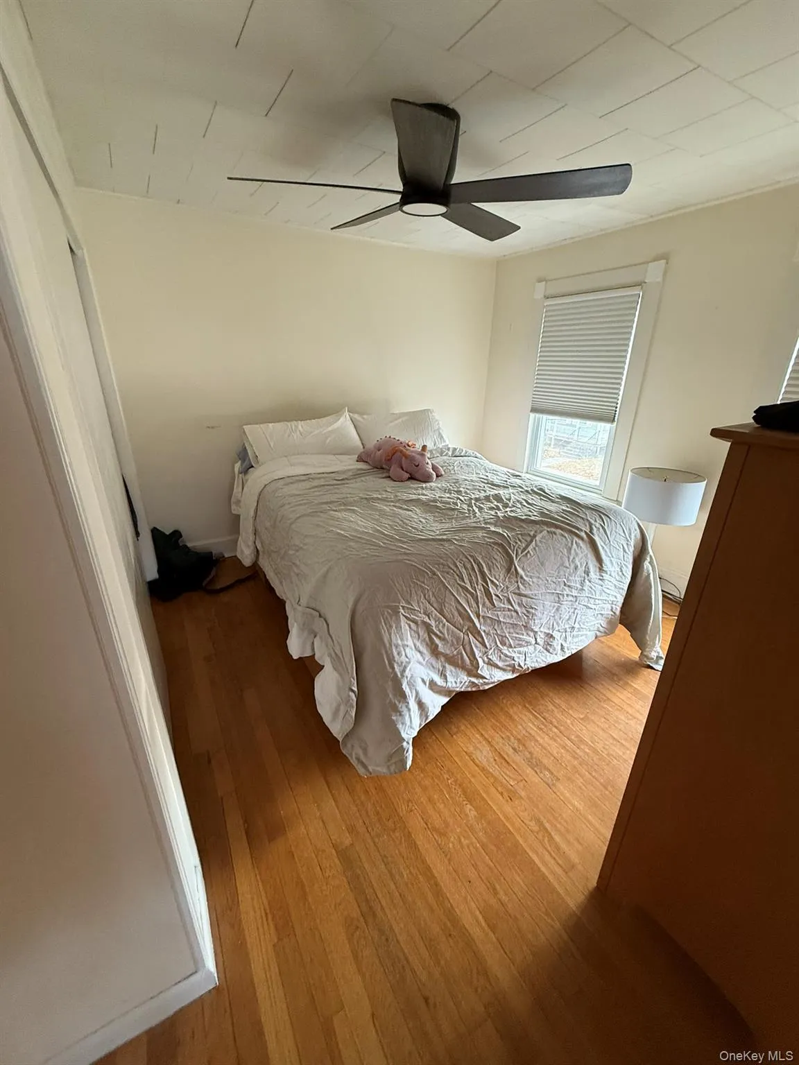 22 Church Street, Beacon, NY, 3 Bedrooms Bedrooms, 6 Rooms Rooms,1 BathroomBathrooms,Residential Lease,Idx,Church,0,942558 22 Church Street, Beacon, NY, 3 Bedrooms Bedrooms, 6 Rooms Rooms,1 BathroomBathrooms,Residential Lease,Idx,Church,0,942558