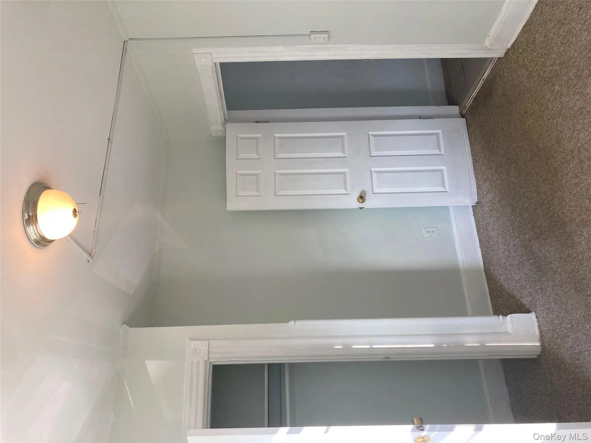 Unfurnished bedroom with carpet and a walk in closet Unfurnished bedroom with carpet and a walk in closet