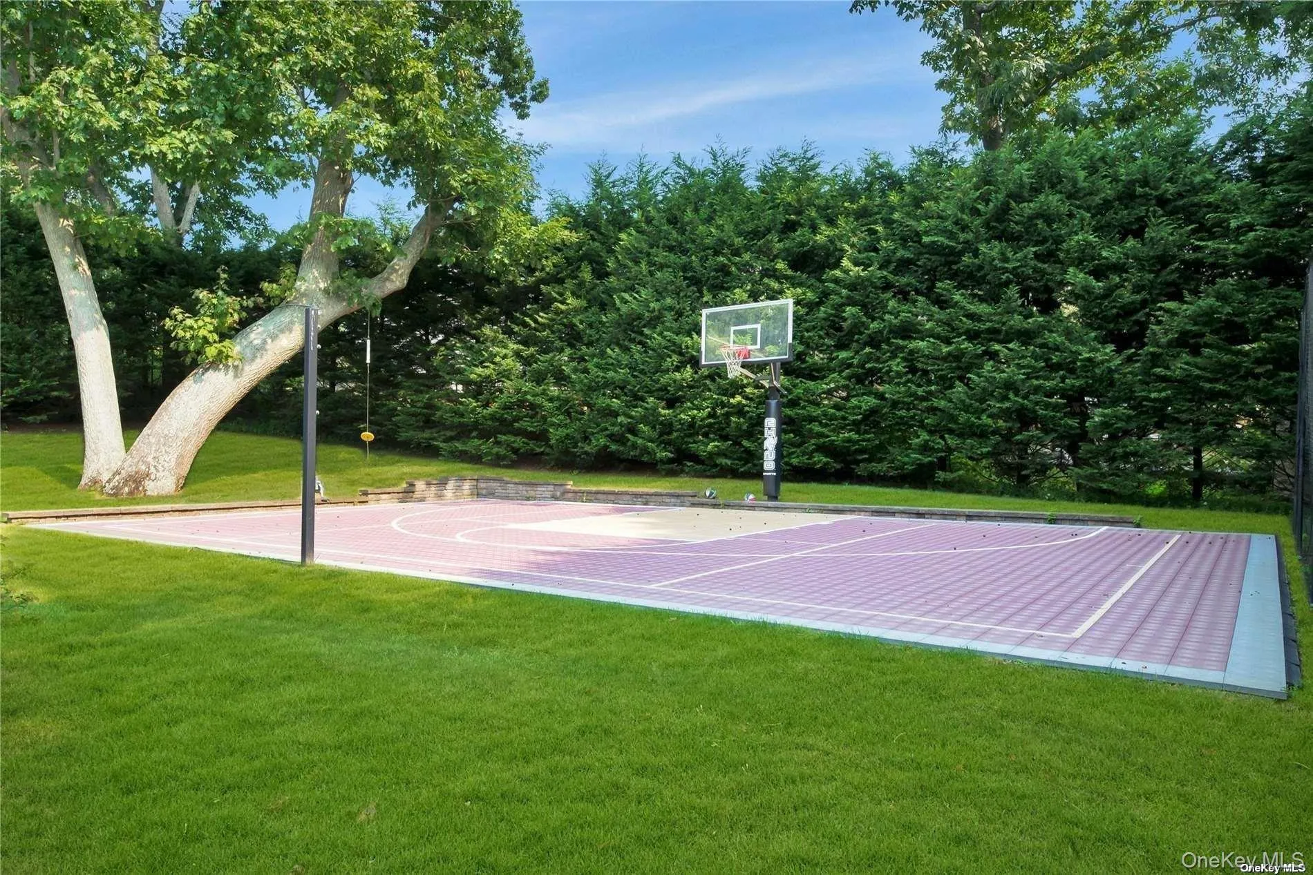 Sport's court and tree swing Sport's court and tree swing