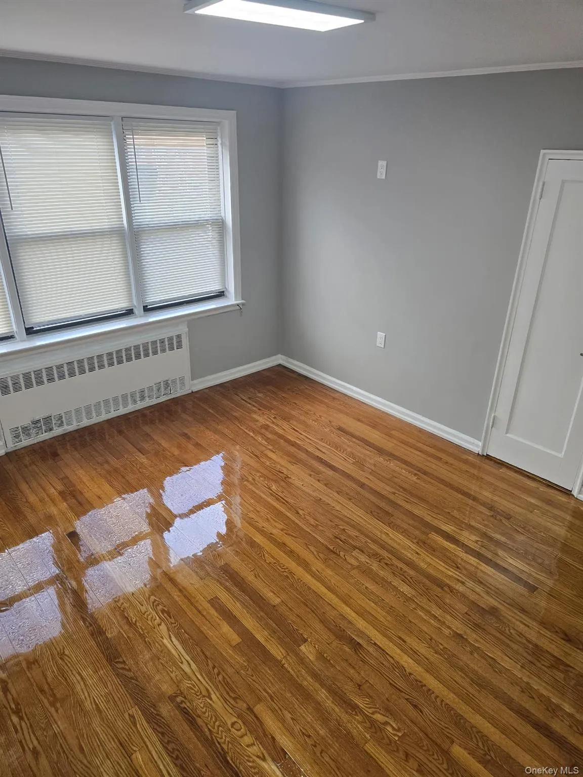 Empty room featuring radiator and light wood finished floors Empty room featuring radiator and light wood finished floors
