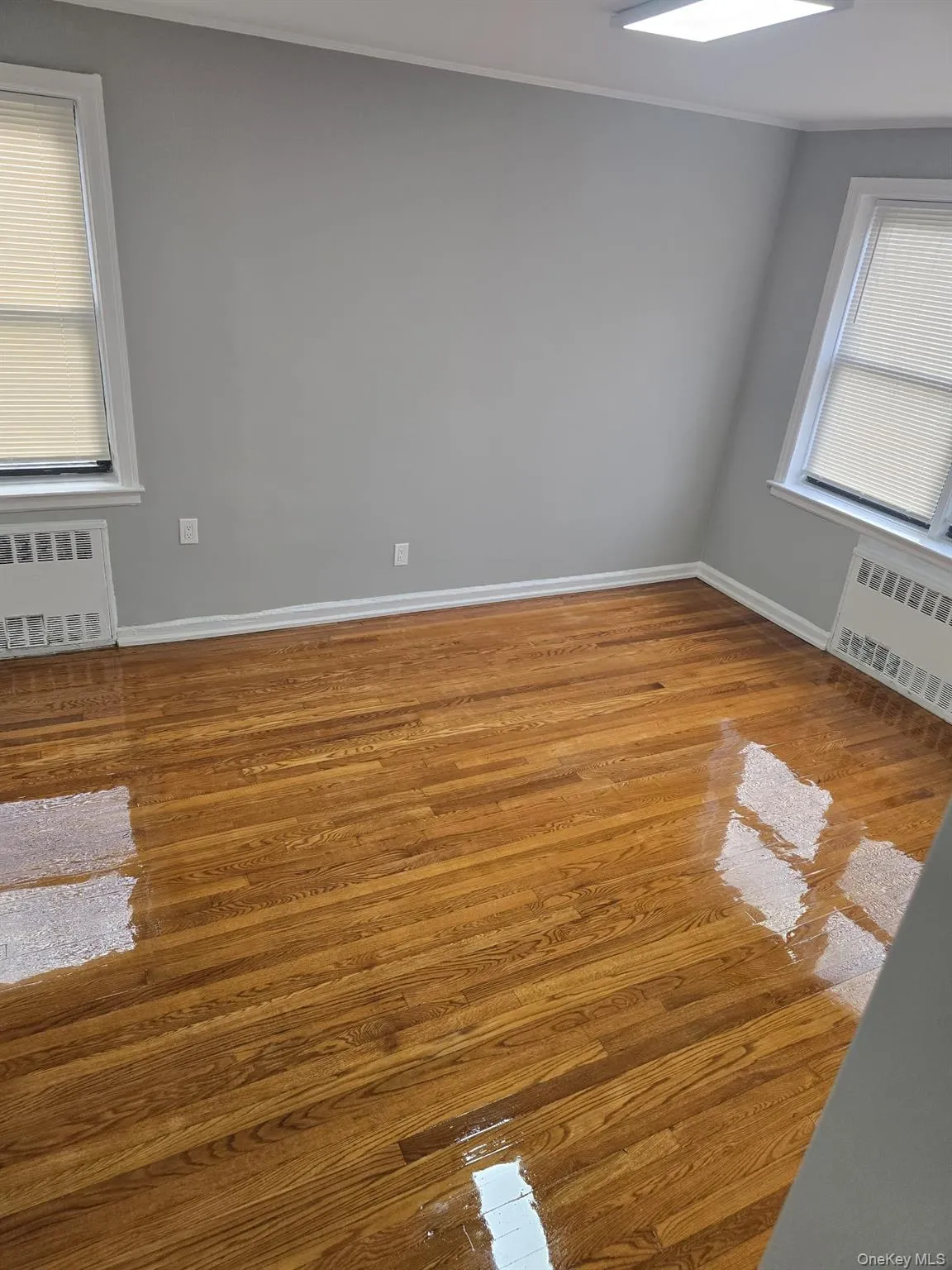 Empty room featuring light wood finished floors, radiator, and crown molding Empty room featuring light wood finished floors, radiator, and crown molding
