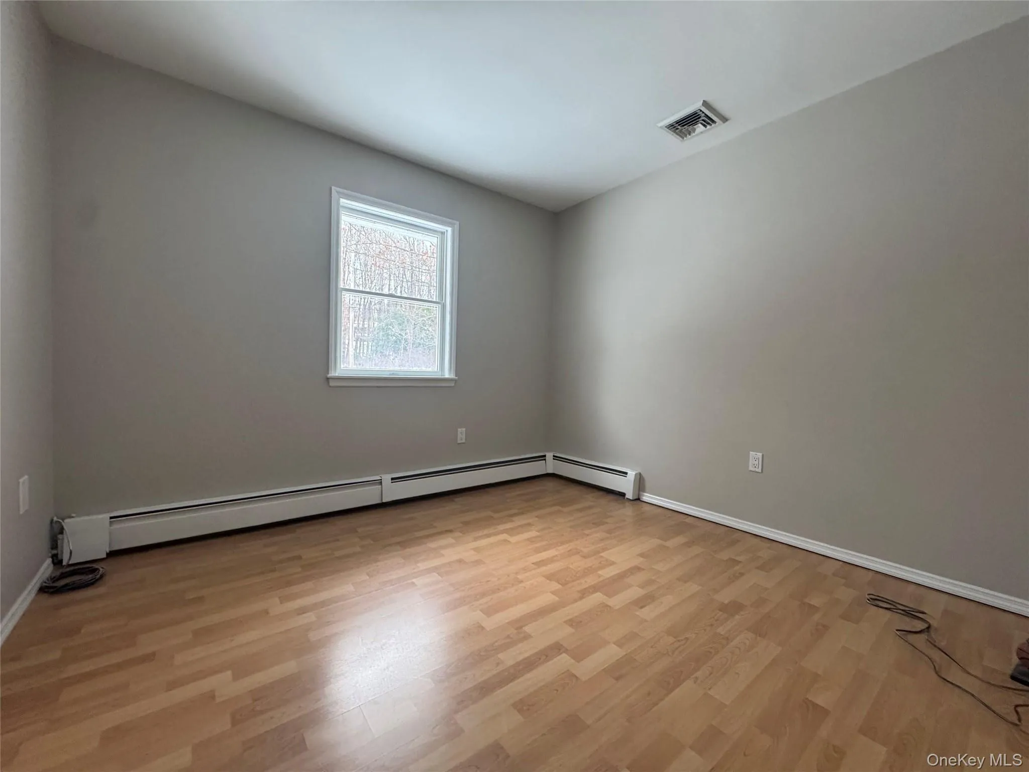 Spare room with light wood-style flooring and a baseboard radiator Spare room with light wood-style flooring and a baseboard radiator