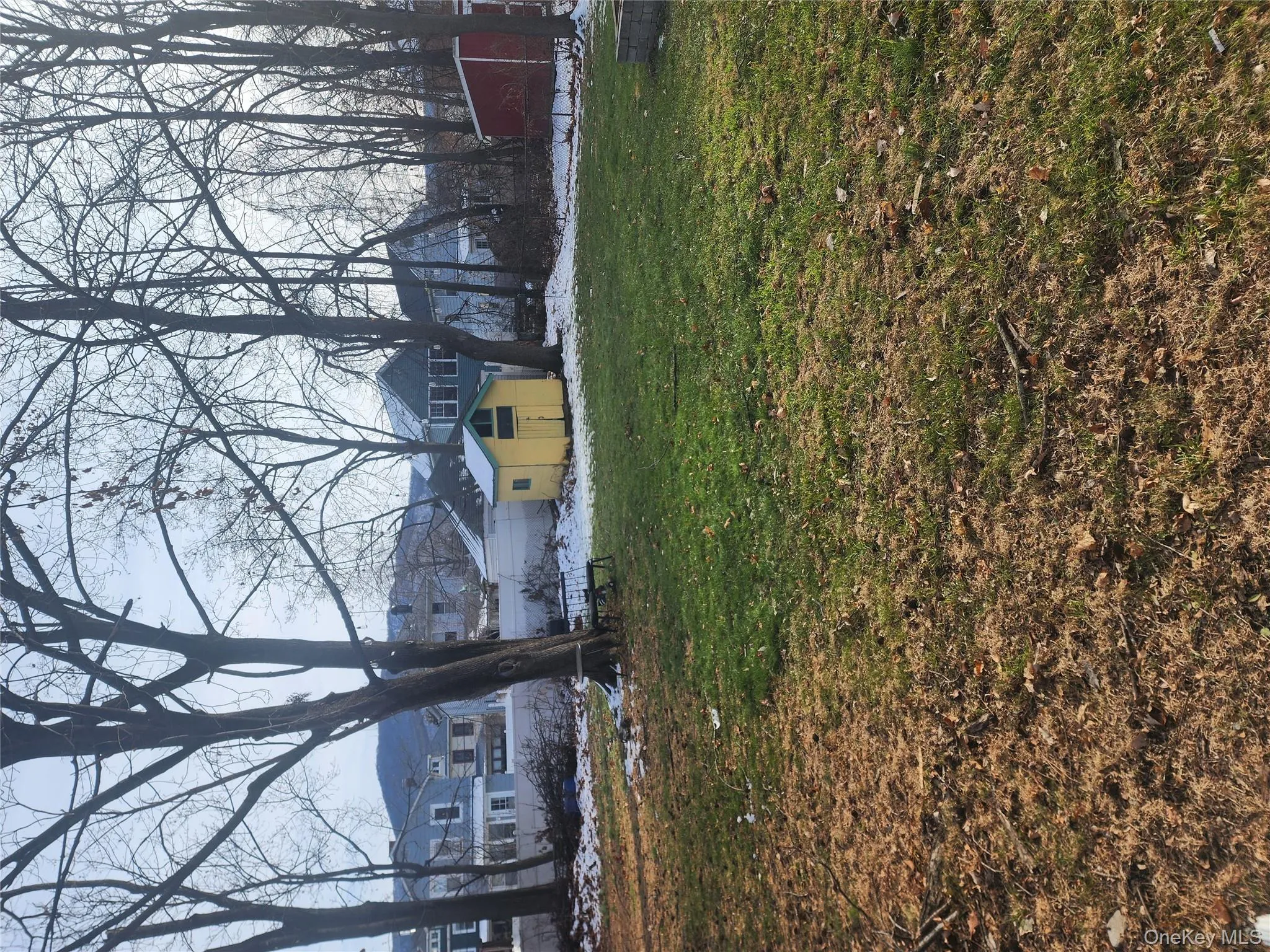 View of green lawn with a storage unit View of green lawn with a storage unit