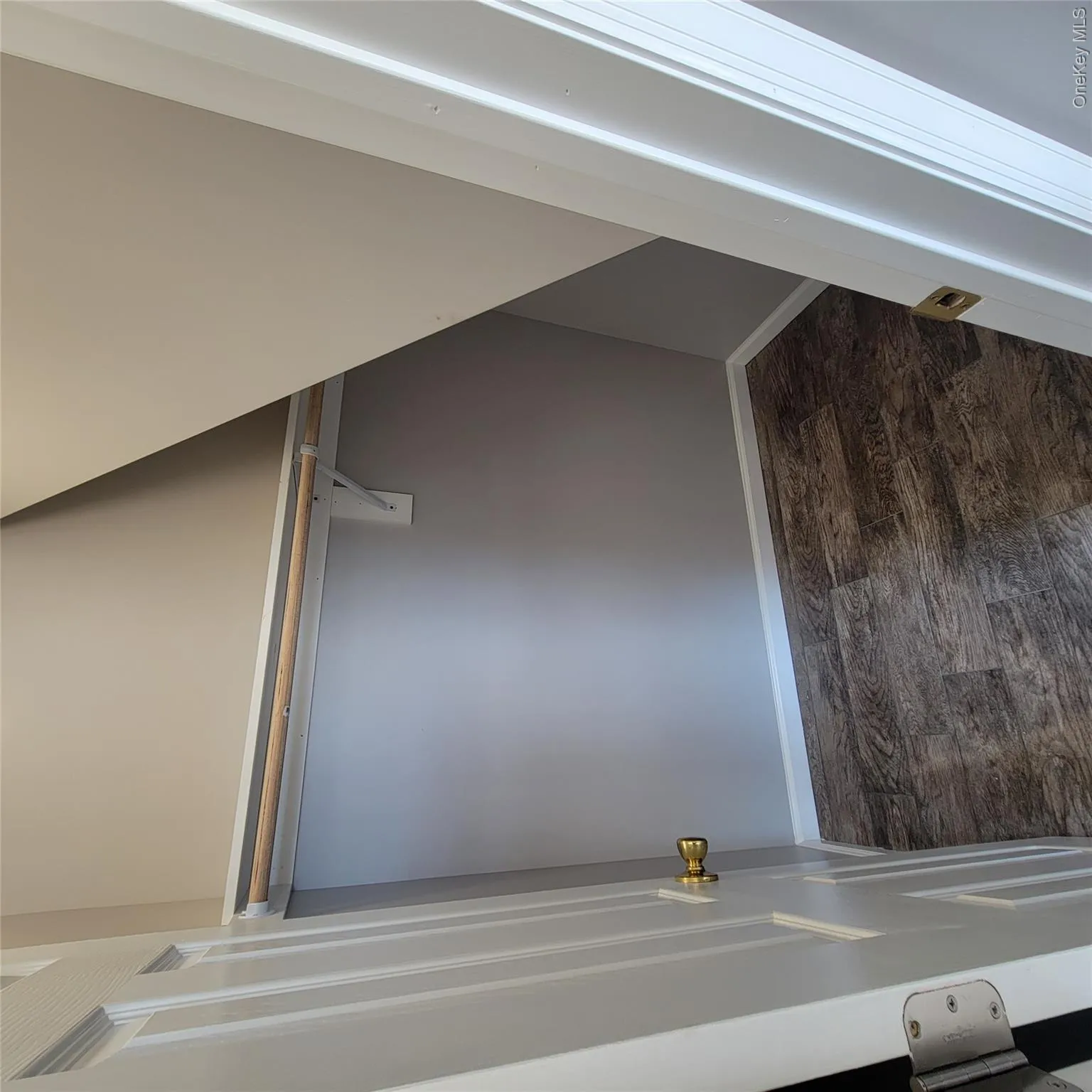 Spacious closet featuring dark wood finished floors Spacious closet featuring dark wood finished floors