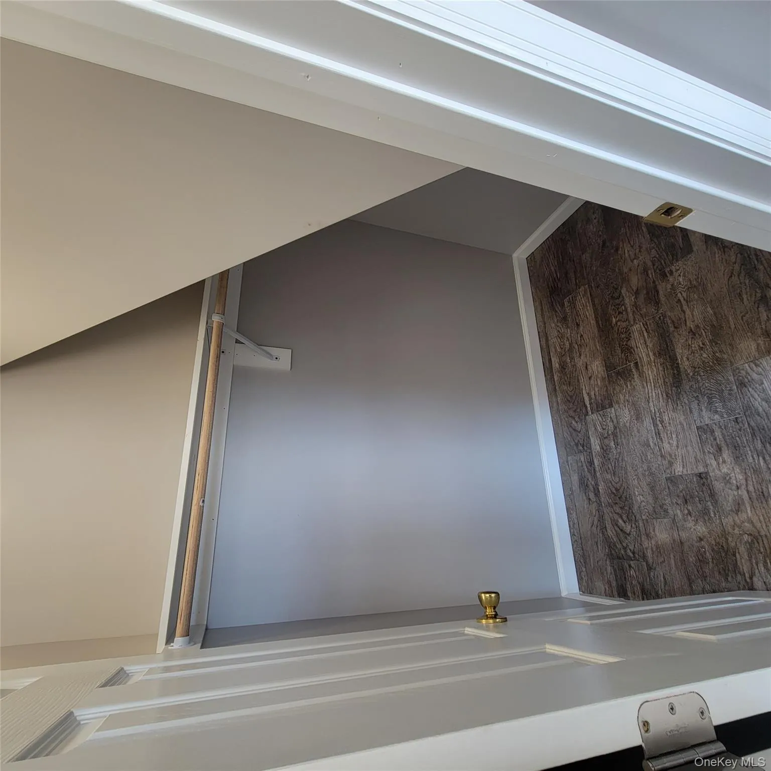 Spacious closet featuring dark wood finished floors Spacious closet featuring dark wood finished floors