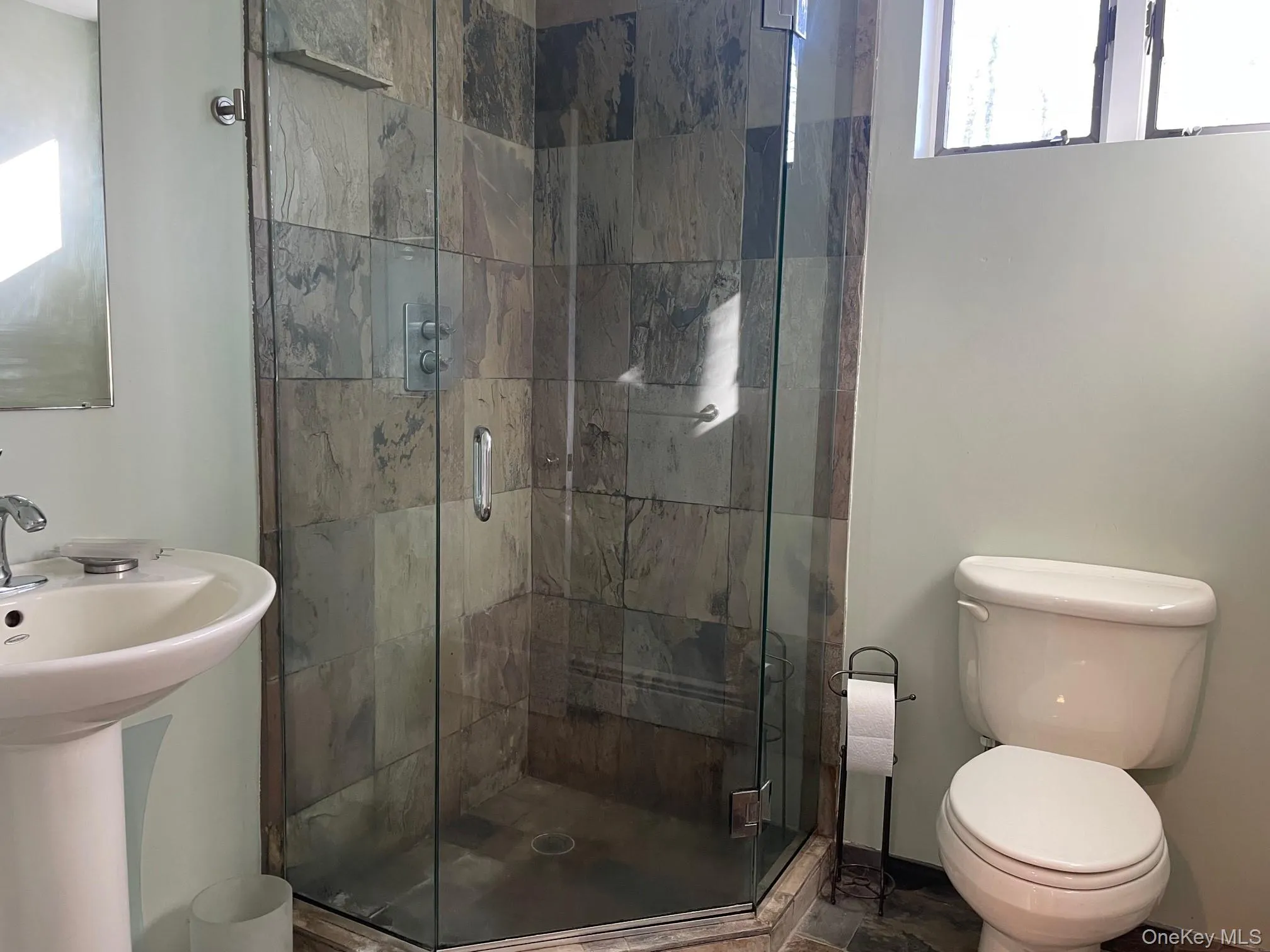 Bathroom featuring a shower stall and toilet Bathroom featuring a shower stall and toilet