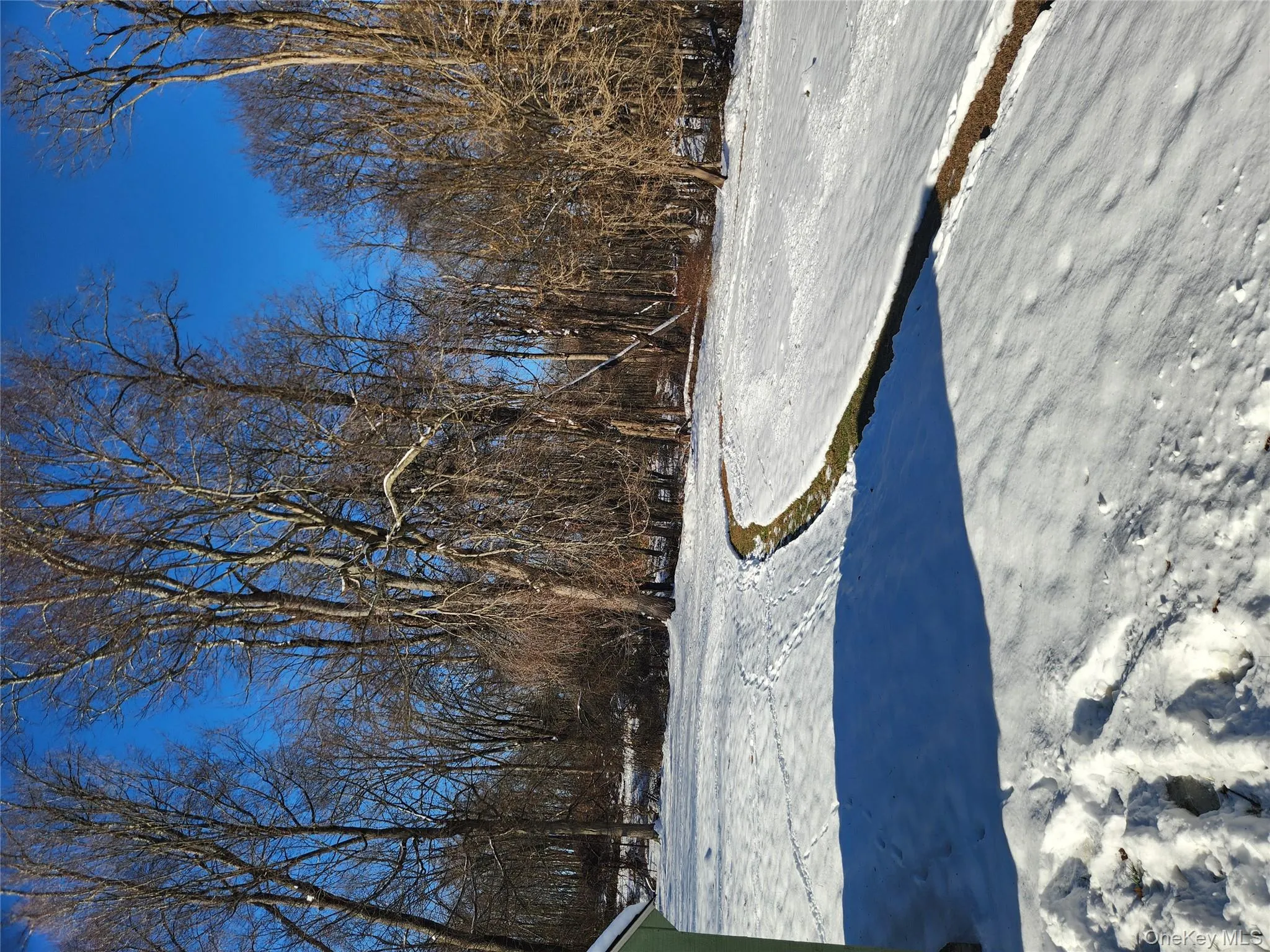 View of street featuring view of wooded area View of street featuring view of wooded area